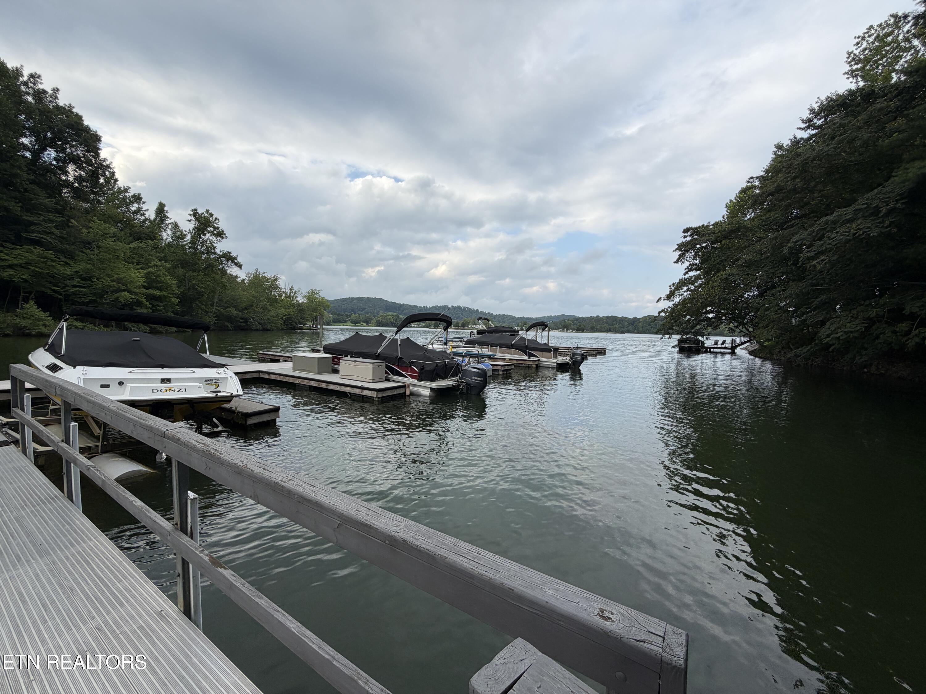 Hidden Oaks Road Rockwood TN 37854