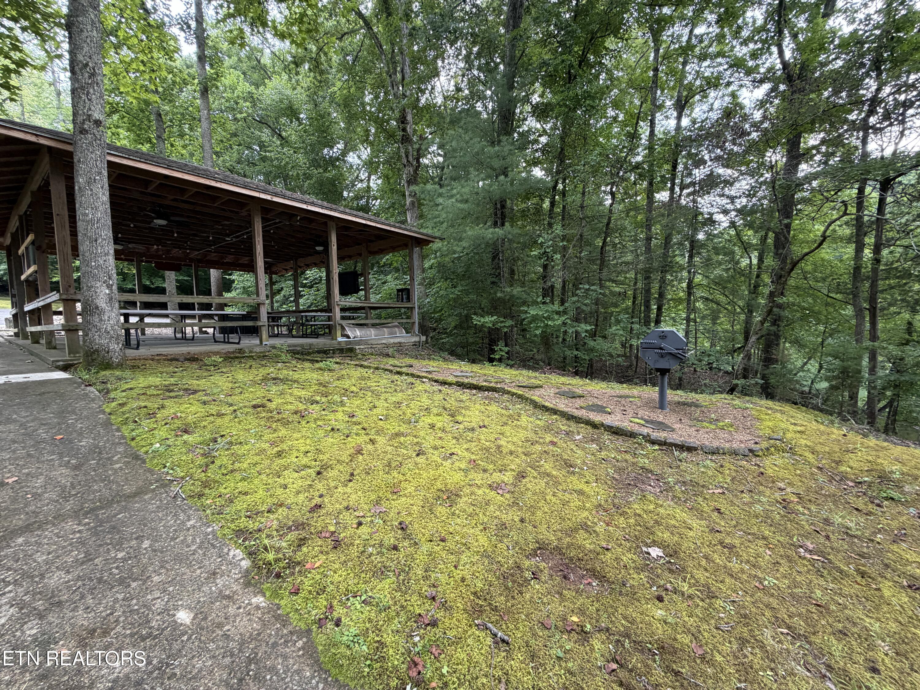 Hidden Oaks Road Rockwood TN 37854