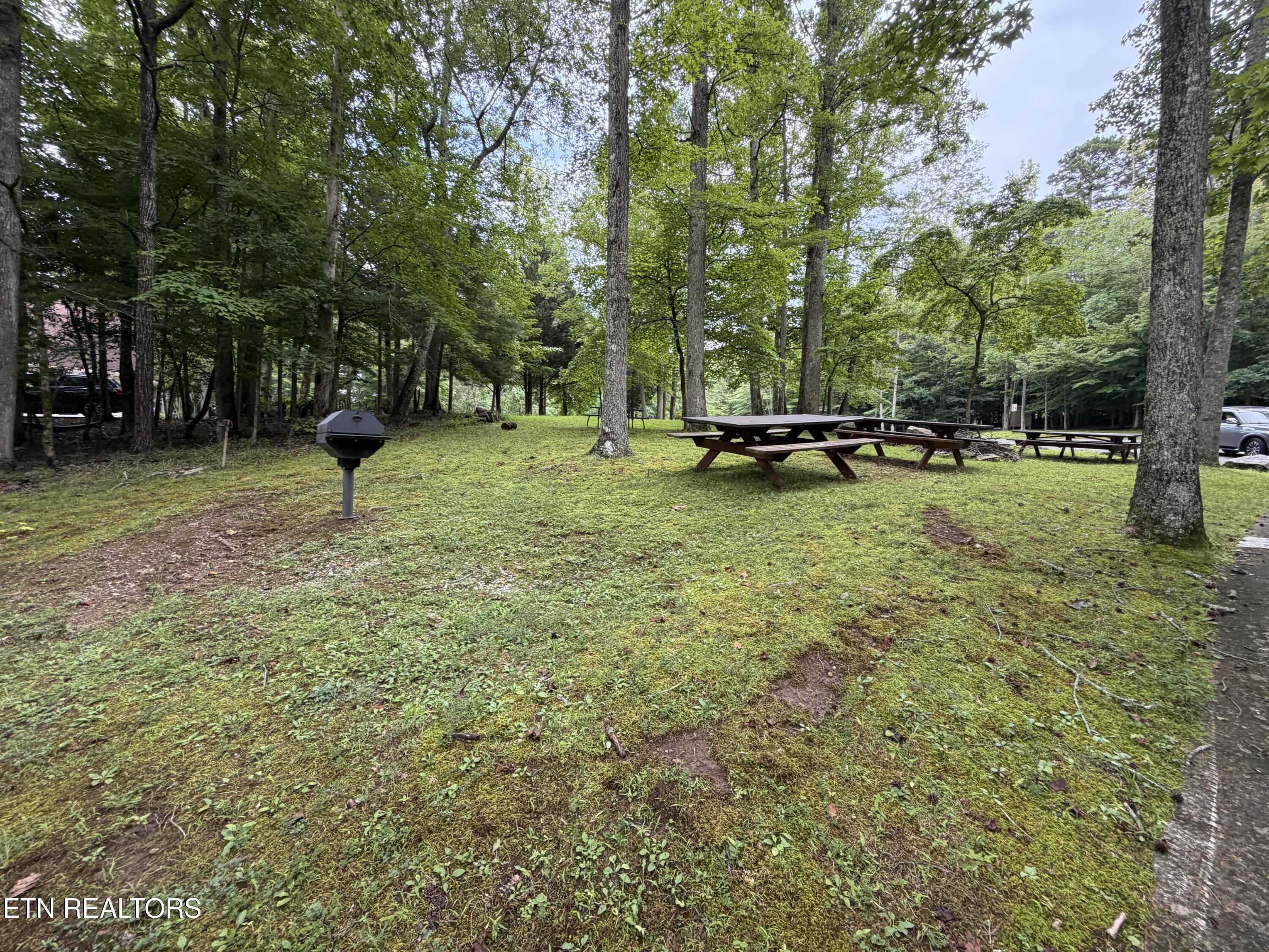 Hidden Oaks Road Rockwood TN 37854