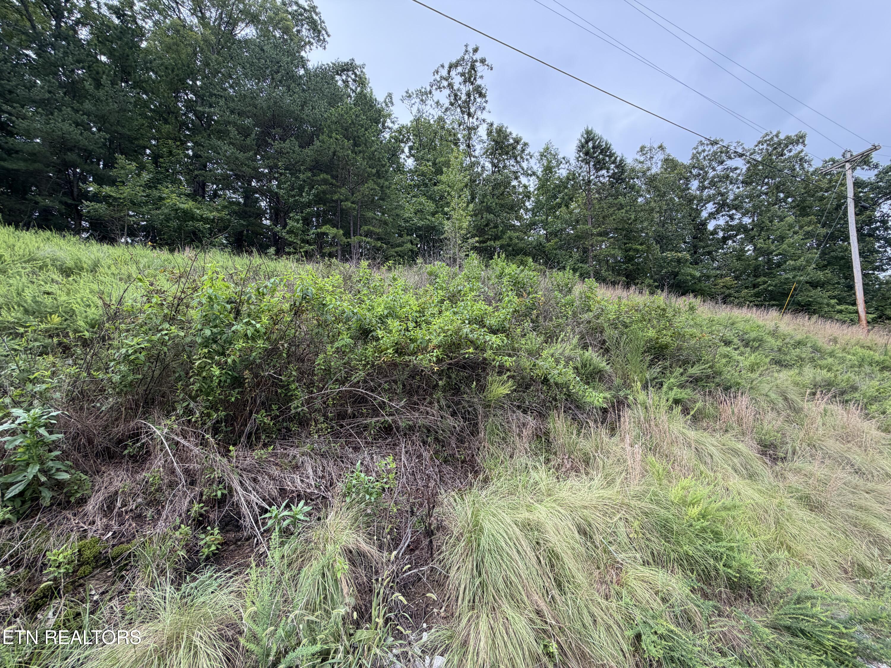 Hidden Oaks Road Rockwood TN 37854