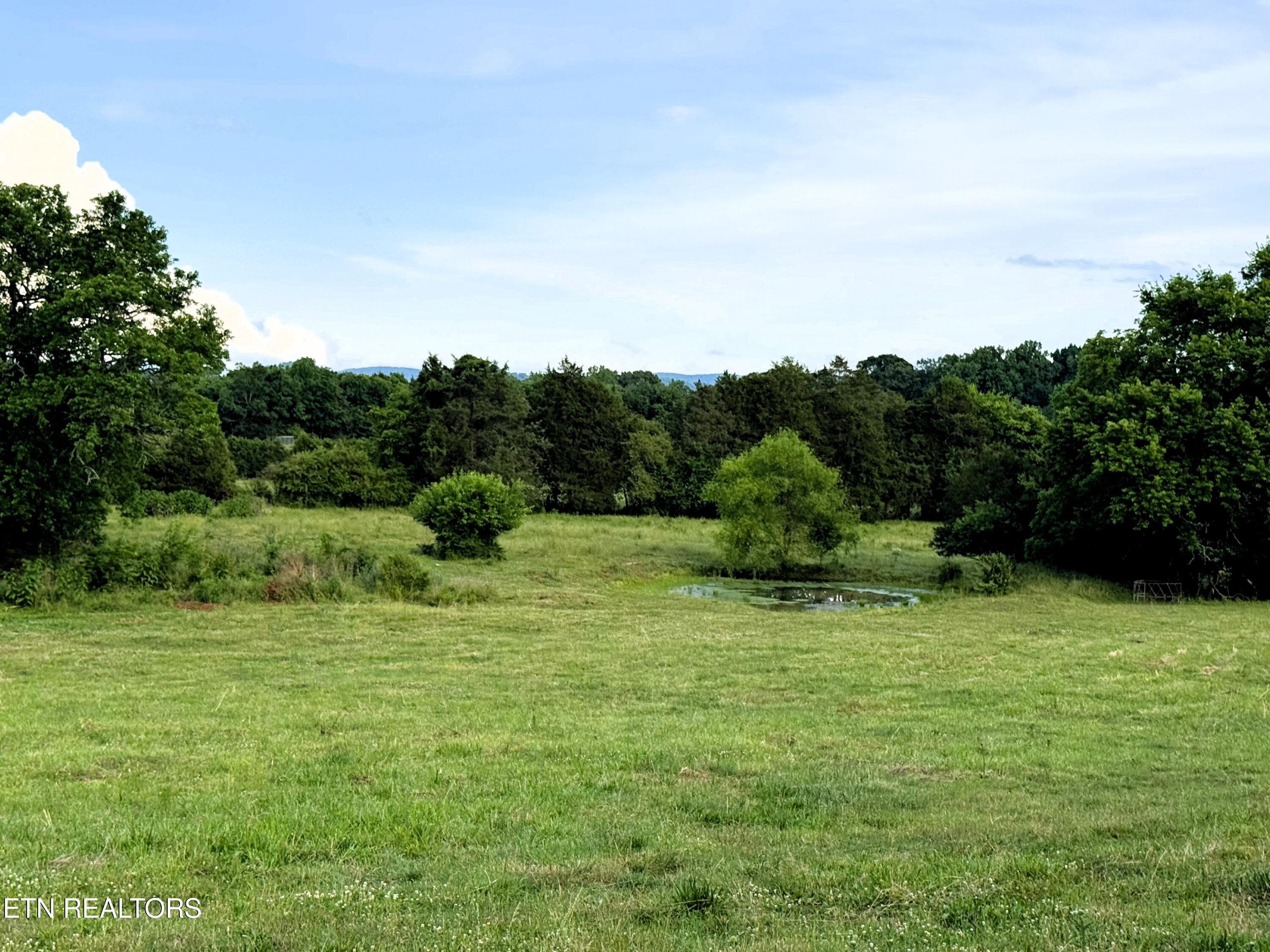 17.5 Acres County Road 571 Englewood TN 37329