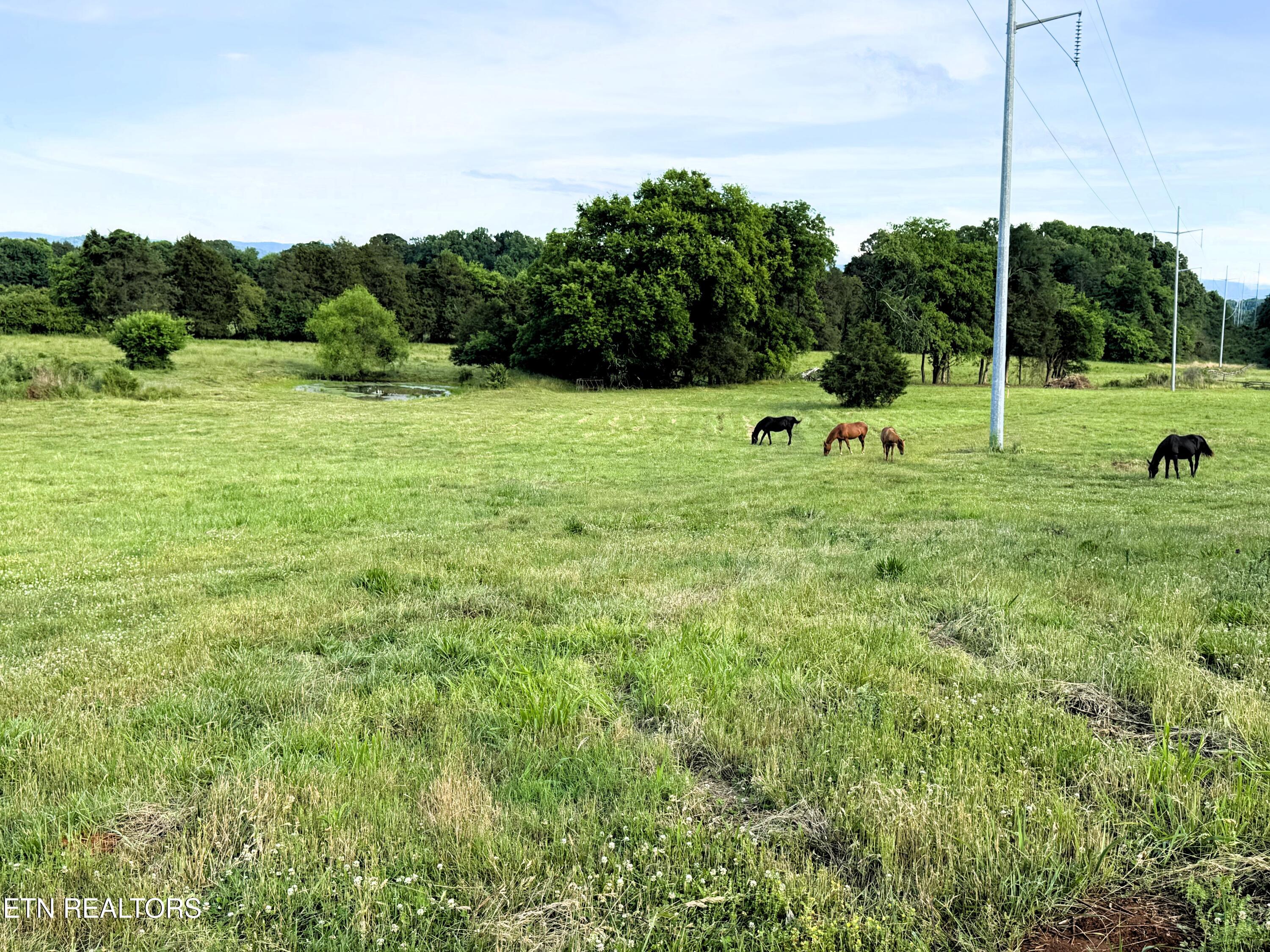 17.5 Acres County Road 571 Englewood TN 37329