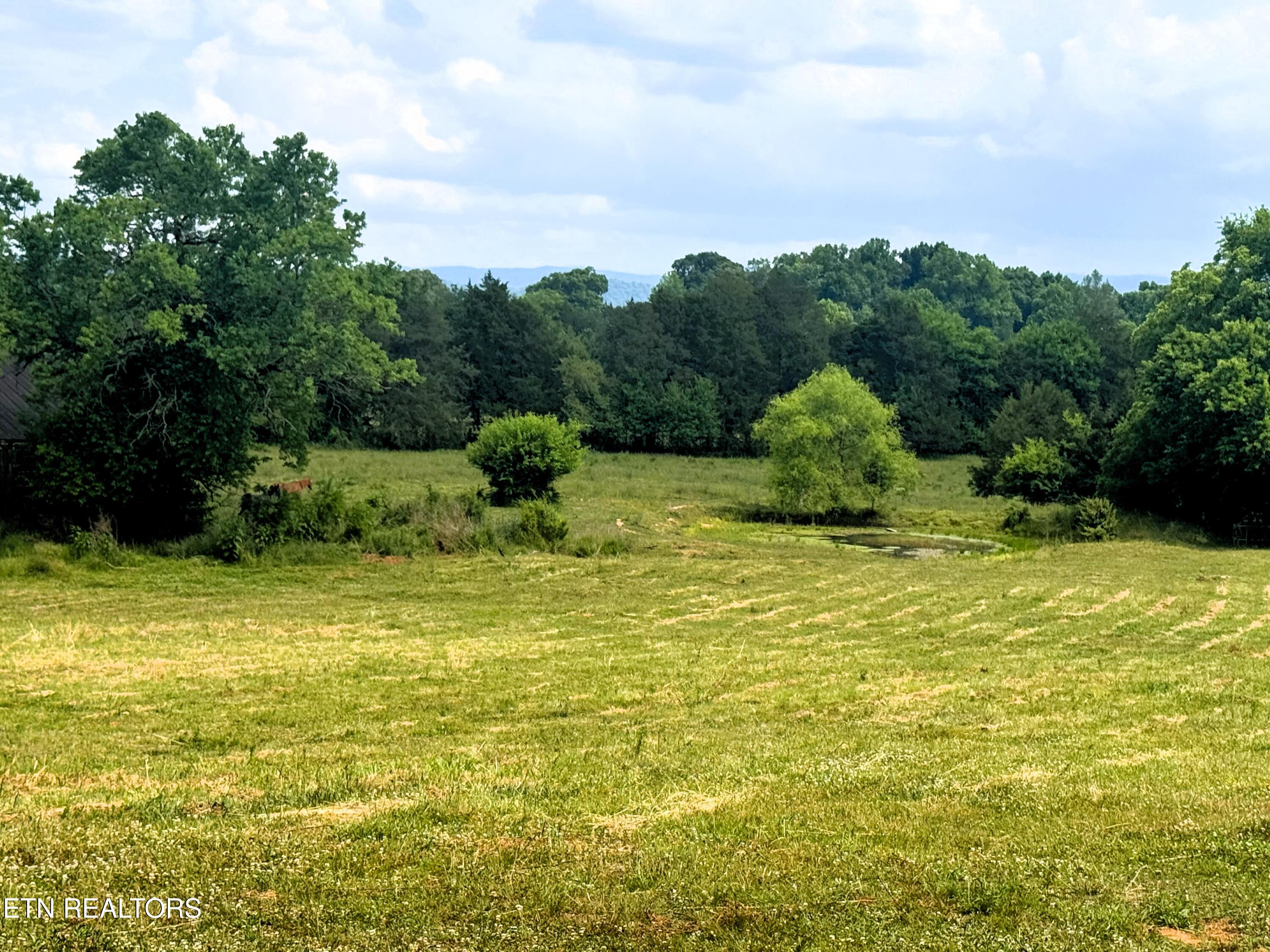 17.5 Acres County Road 571 Englewood TN 37329