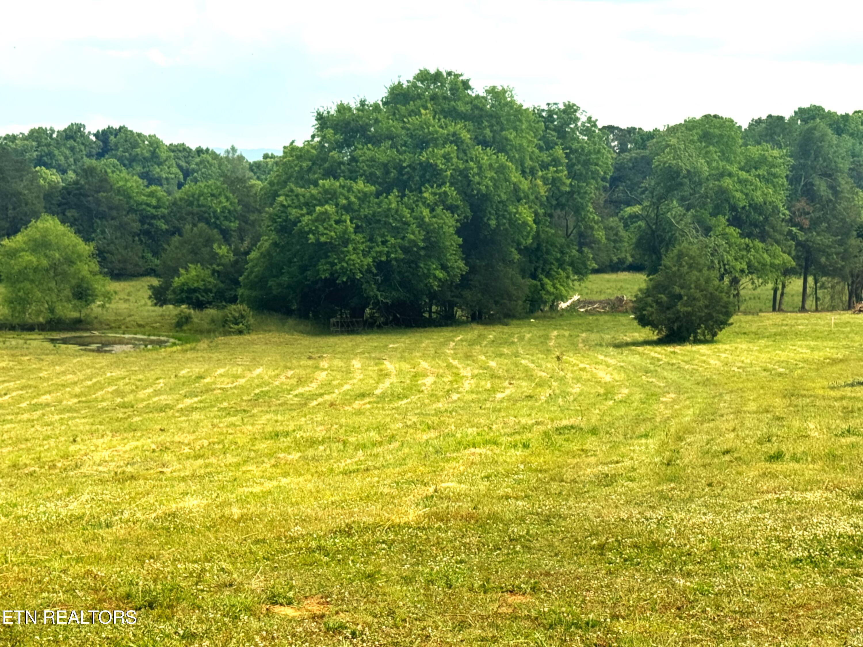 17.5 Acres County Road 571 Englewood TN 37329