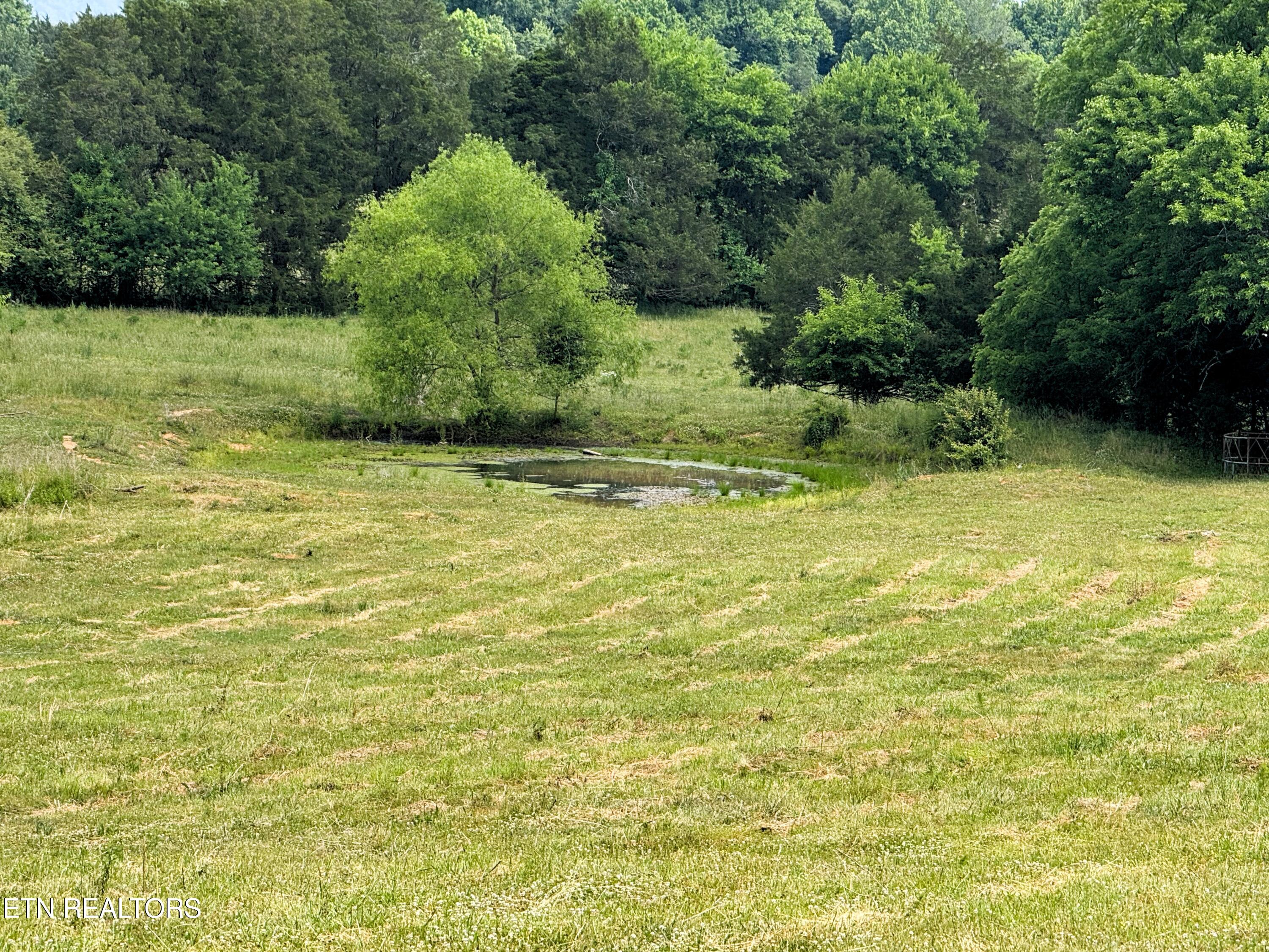 17.5 Acres County Road 571 Englewood TN 37329
