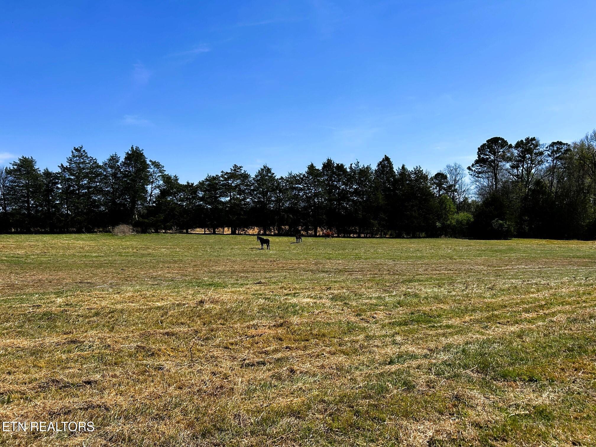 17.5 Acres County Road 571 Englewood TN 37329