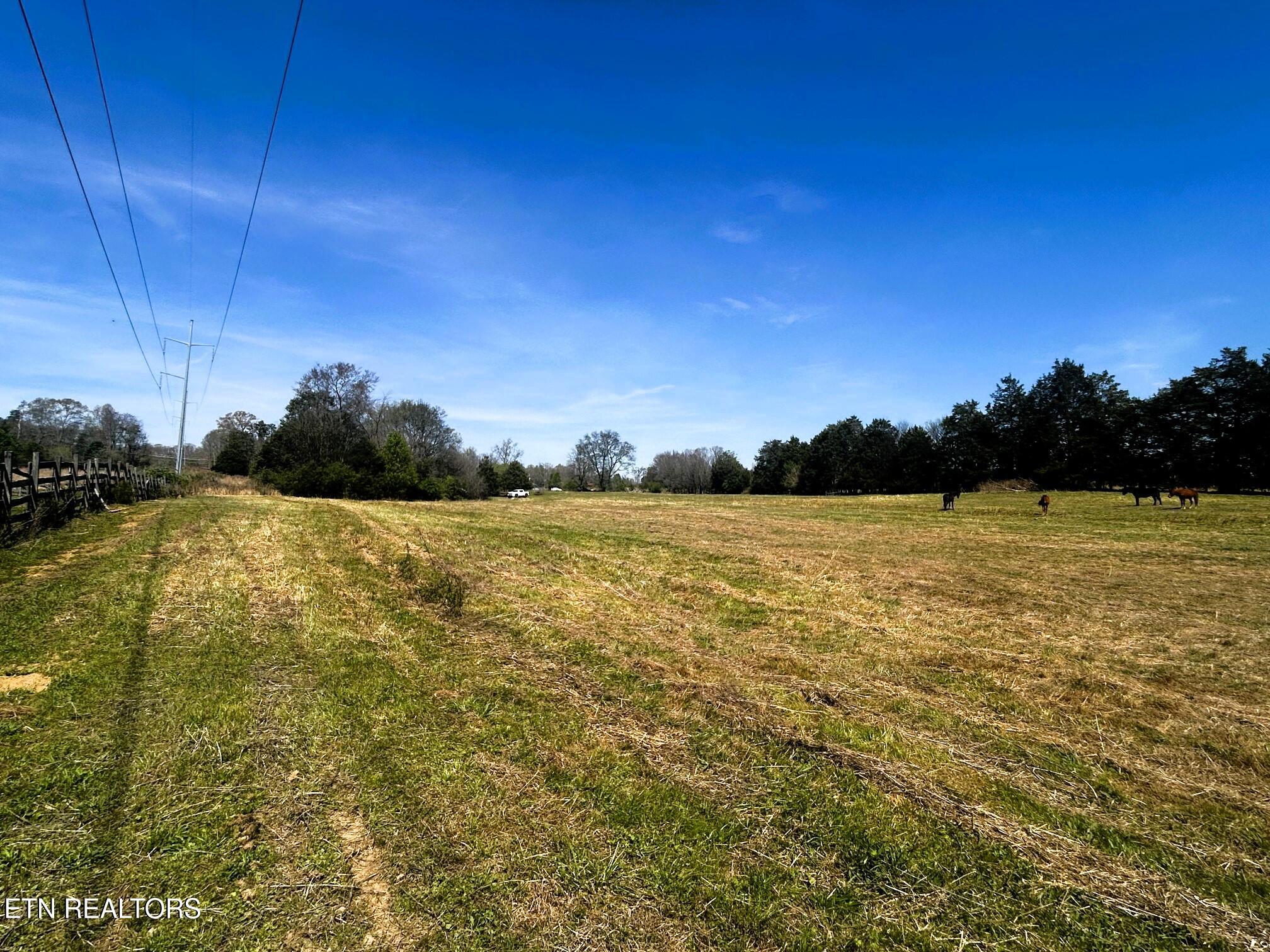 17.5 Acres County Road 571 Englewood TN 37329