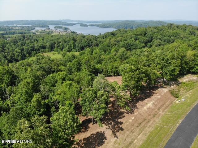 W Mountain Drive Rockwood TN 37854