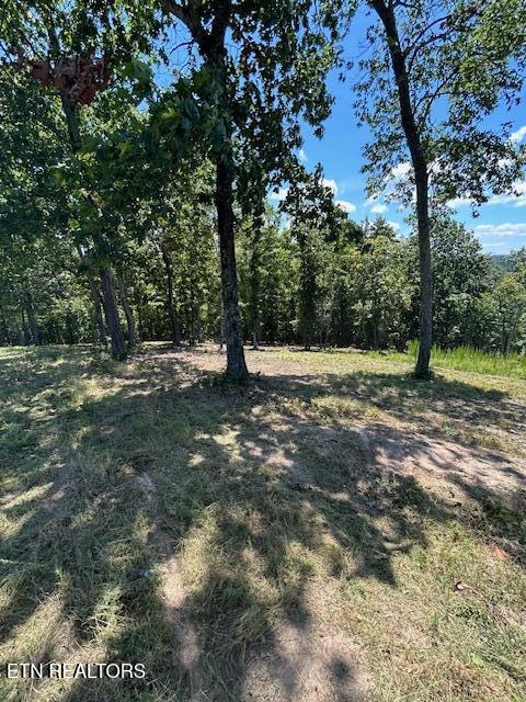 W Mountain Drive Rockwood TN 37854