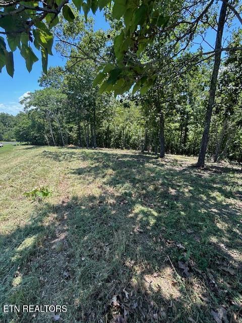W Mountain Drive Rockwood TN 37854