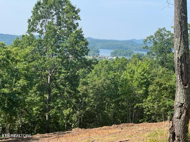 W Mountain Drive Rockwood TN 37854