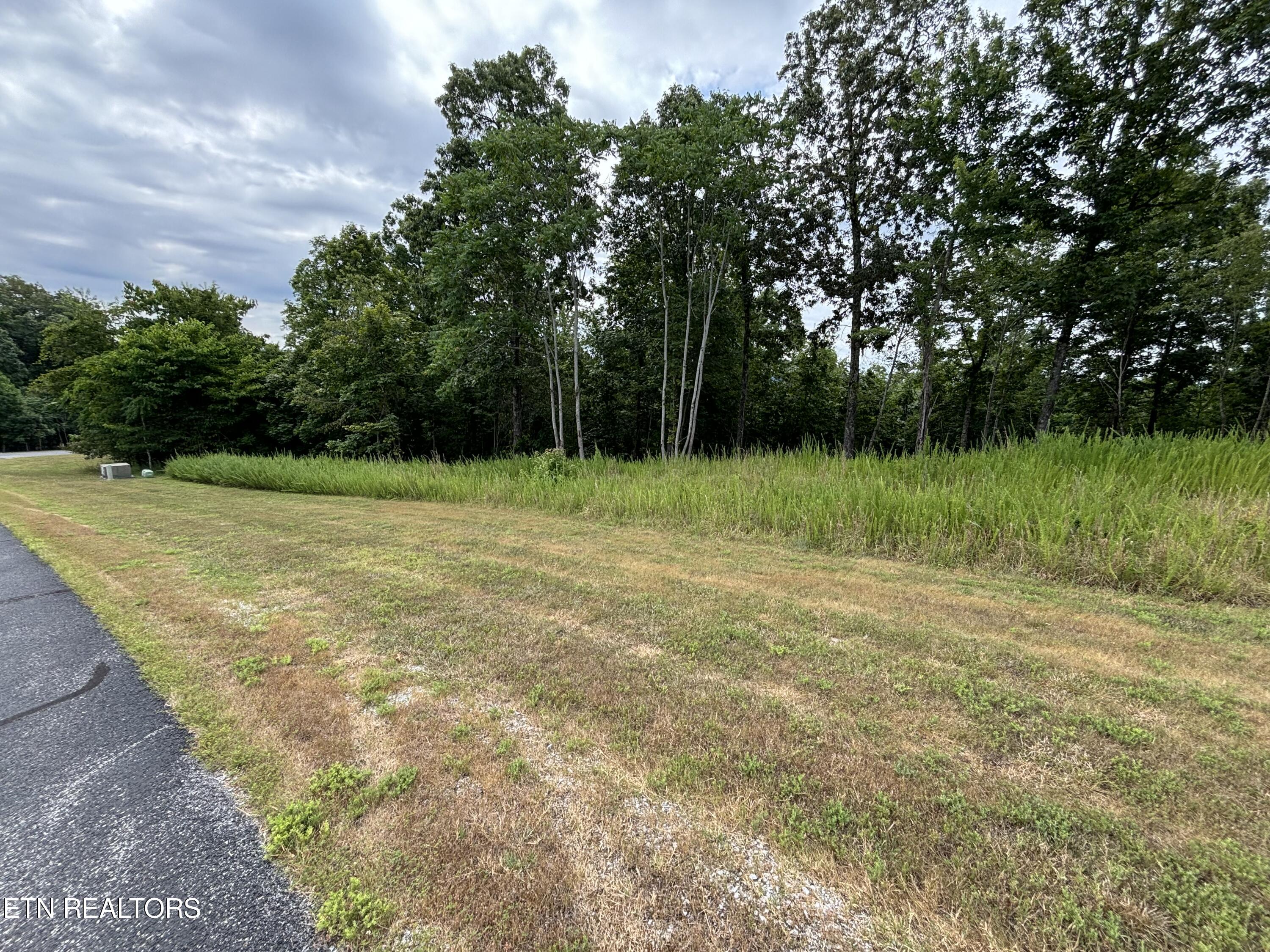 W Mountain Drive Rockwood TN 37854