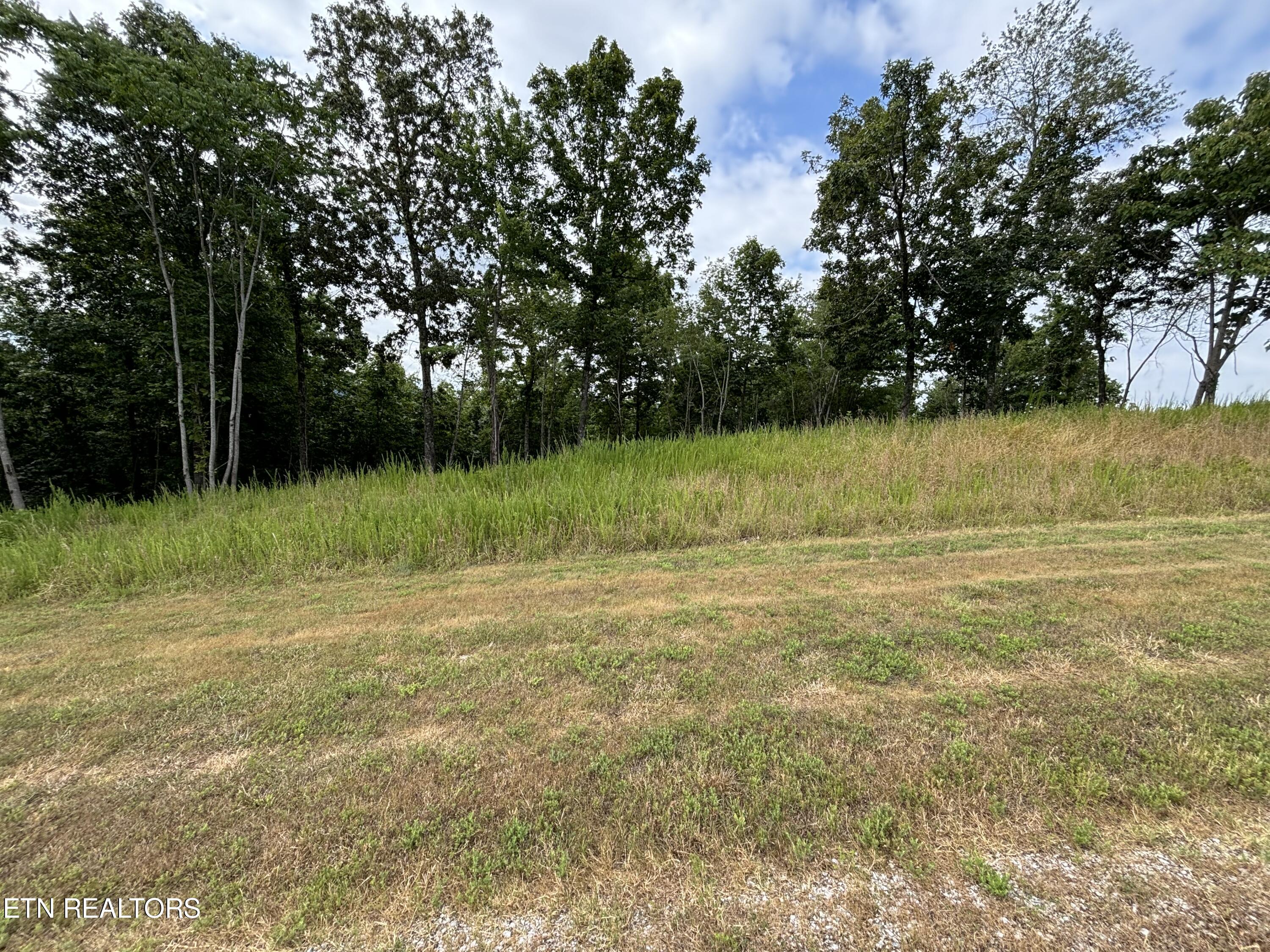 W Mountain Drive Rockwood TN 37854