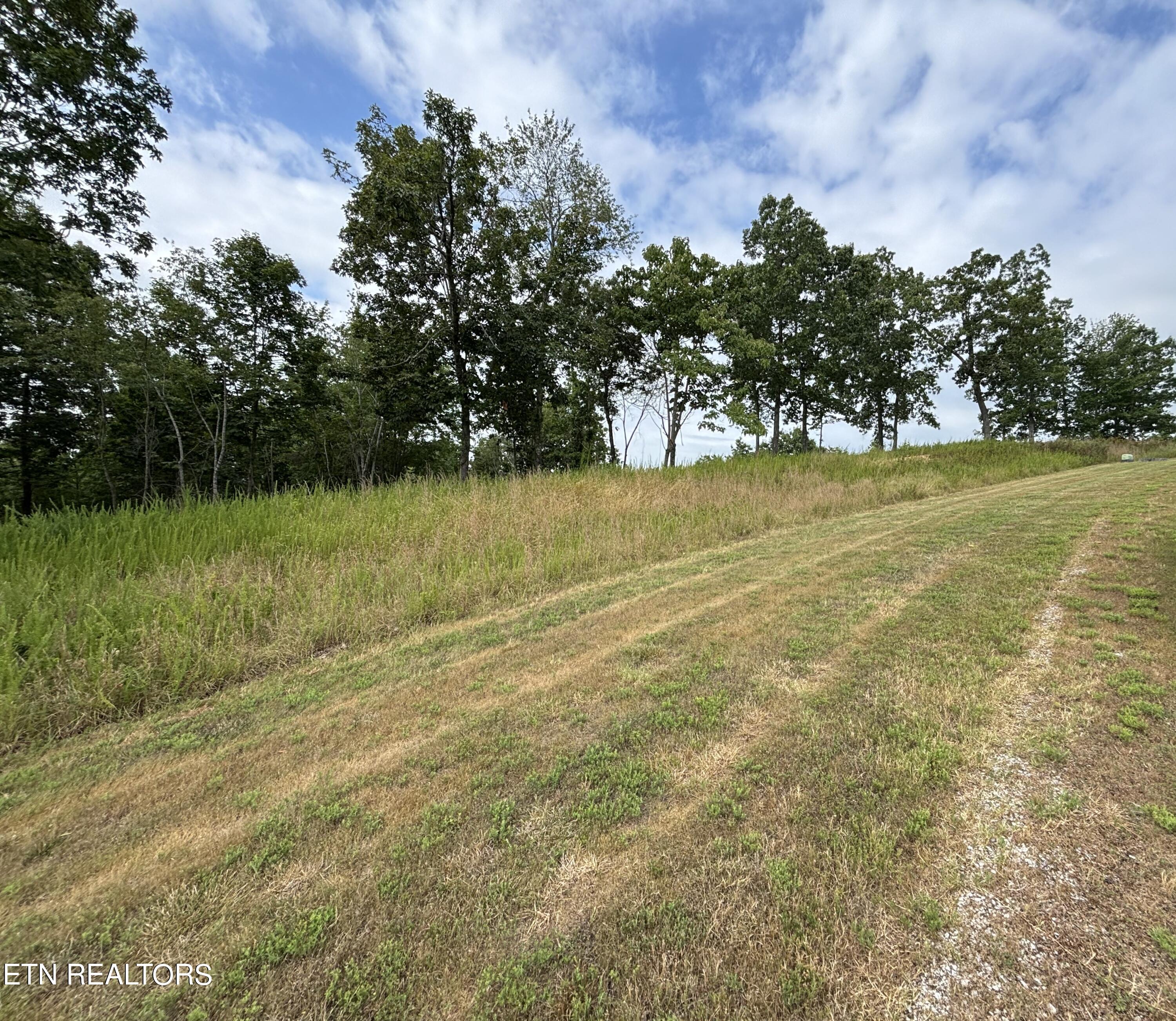 W Mountain Drive Rockwood TN 37854