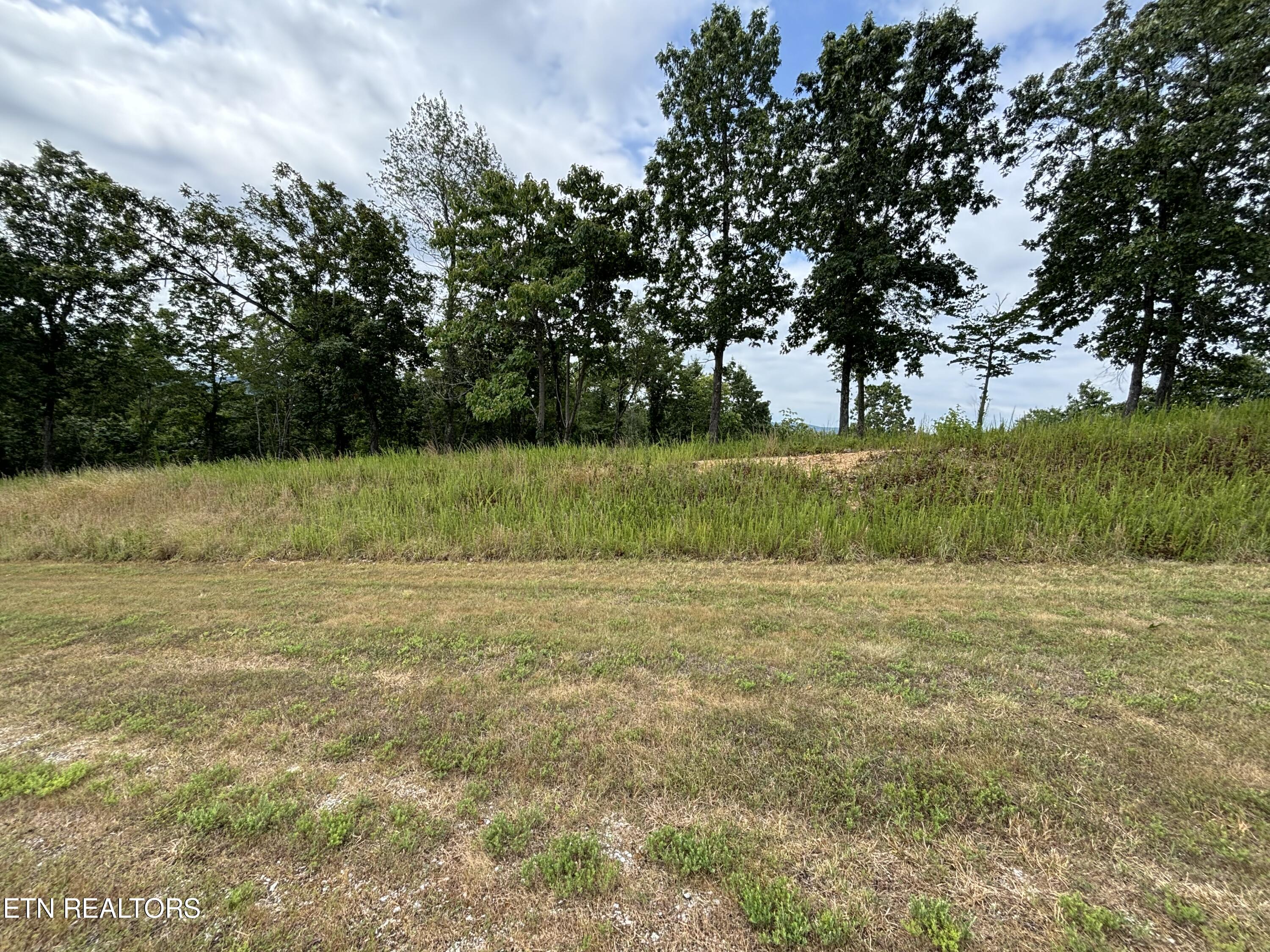 W Mountain Drive Rockwood TN 37854