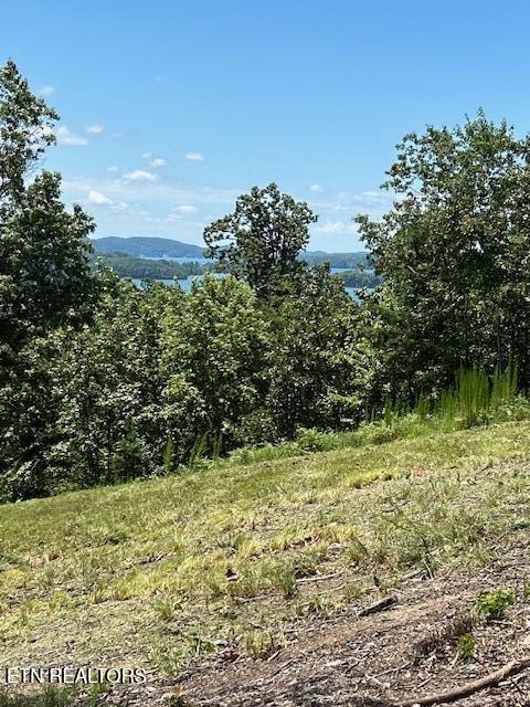 W Mountain Drive Rockwood TN 37854