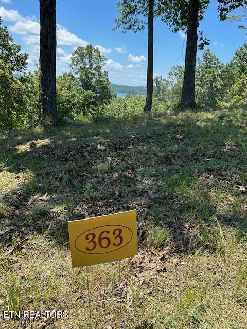 W Mountain Drive Rockwood TN 37854