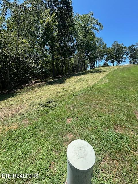 W Mountain Drive Rockwood TN 37854