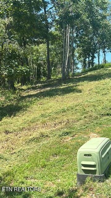 W Mountain Drive Rockwood TN 37854