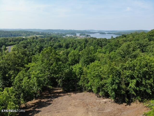 W Mountain Drive Rockwood TN 37854