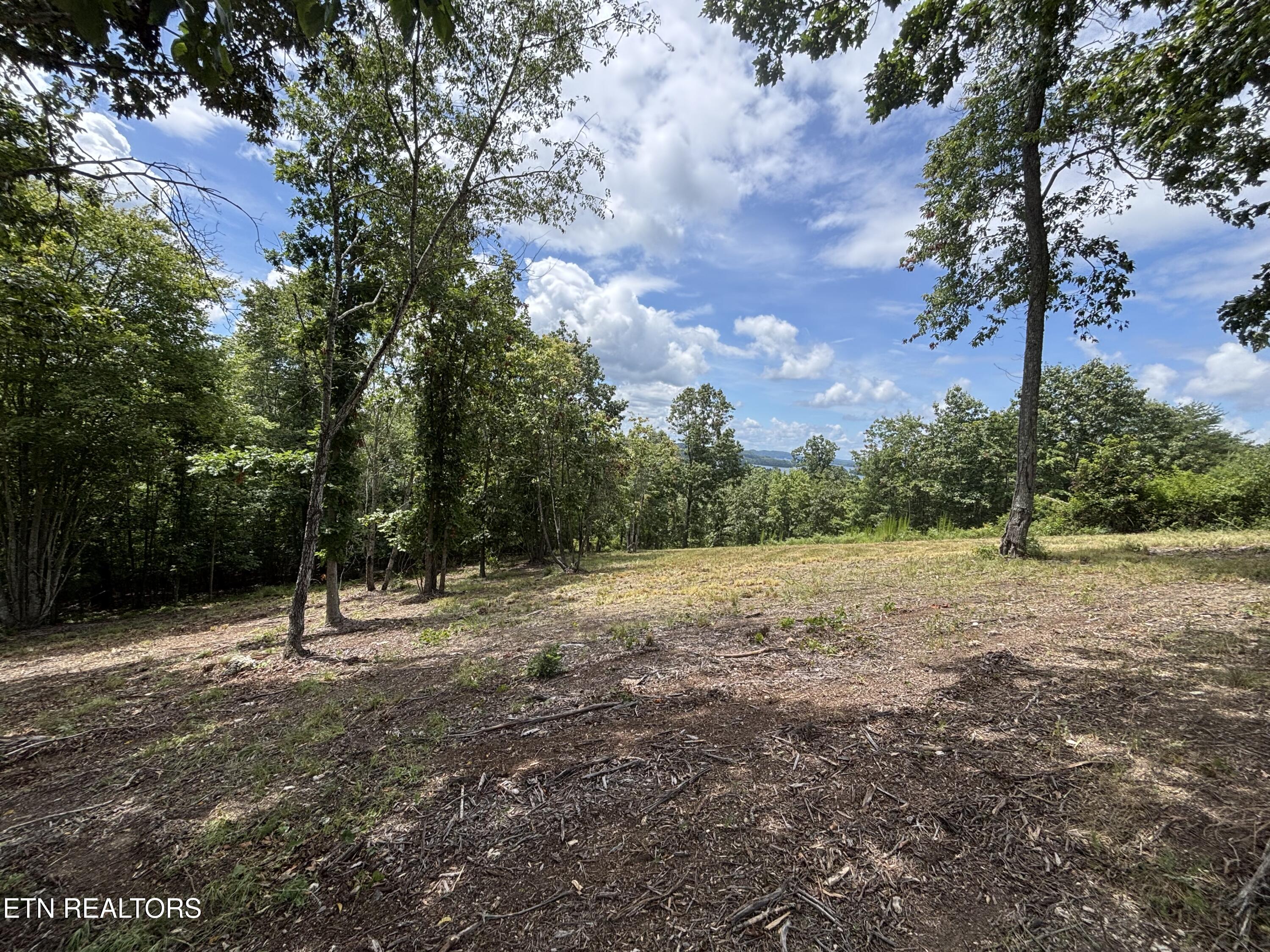 W Mountain Drive Rockwood TN 37854