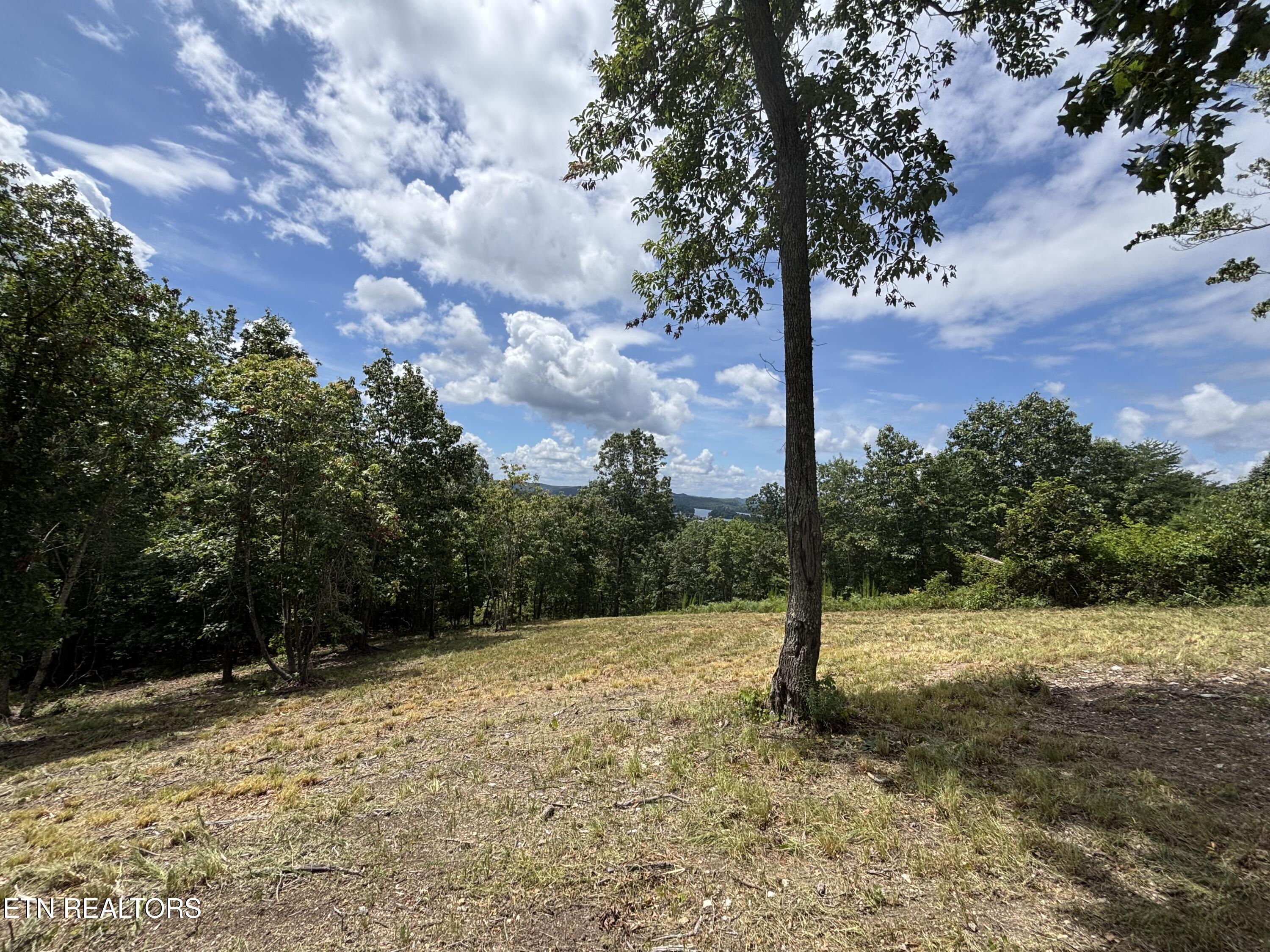 W Mountain Drive Rockwood TN 37854