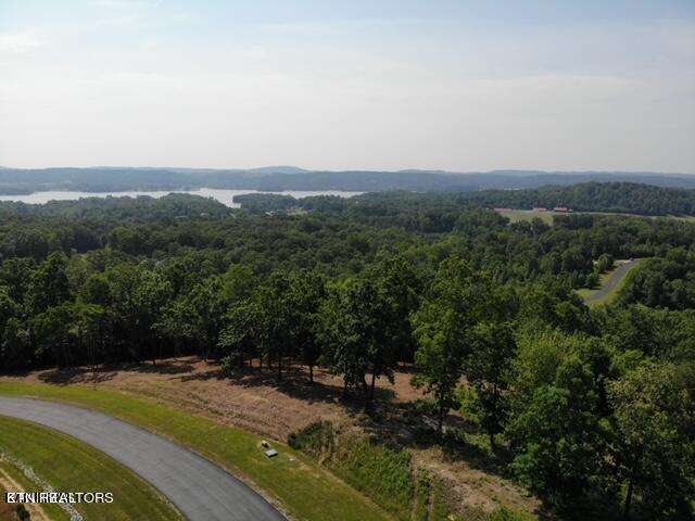 W Mountain Drive Rockwood TN 37854