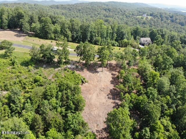 W Mountain Drive Rockwood TN 37854