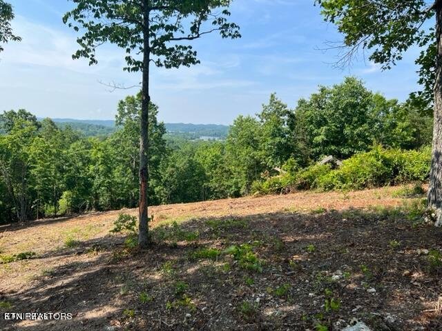 W Mountain Drive Rockwood TN 37854