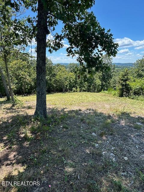 W Mountain Drive Rockwood TN 37854