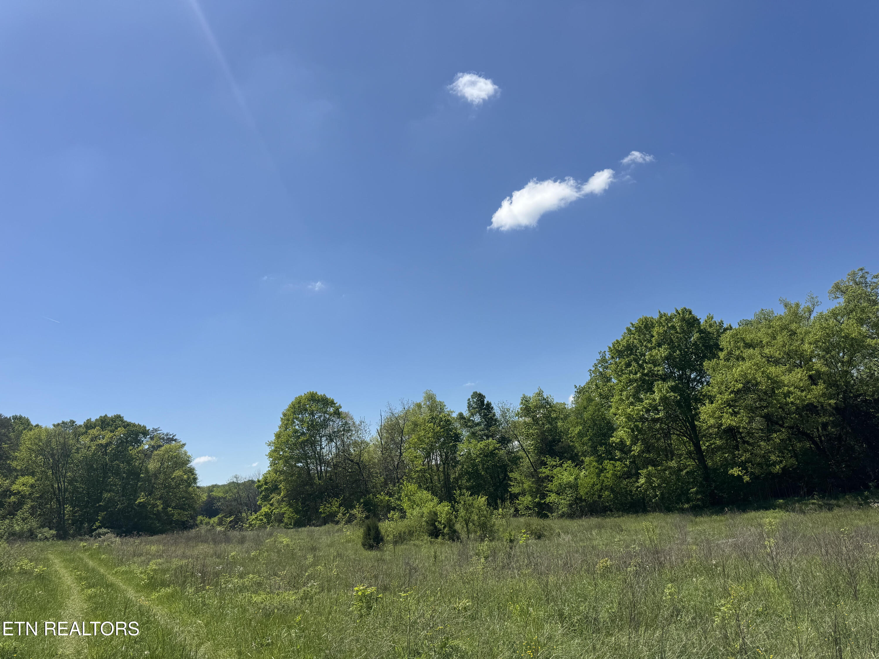 N Highway 340 Parrottsville TN 37843
