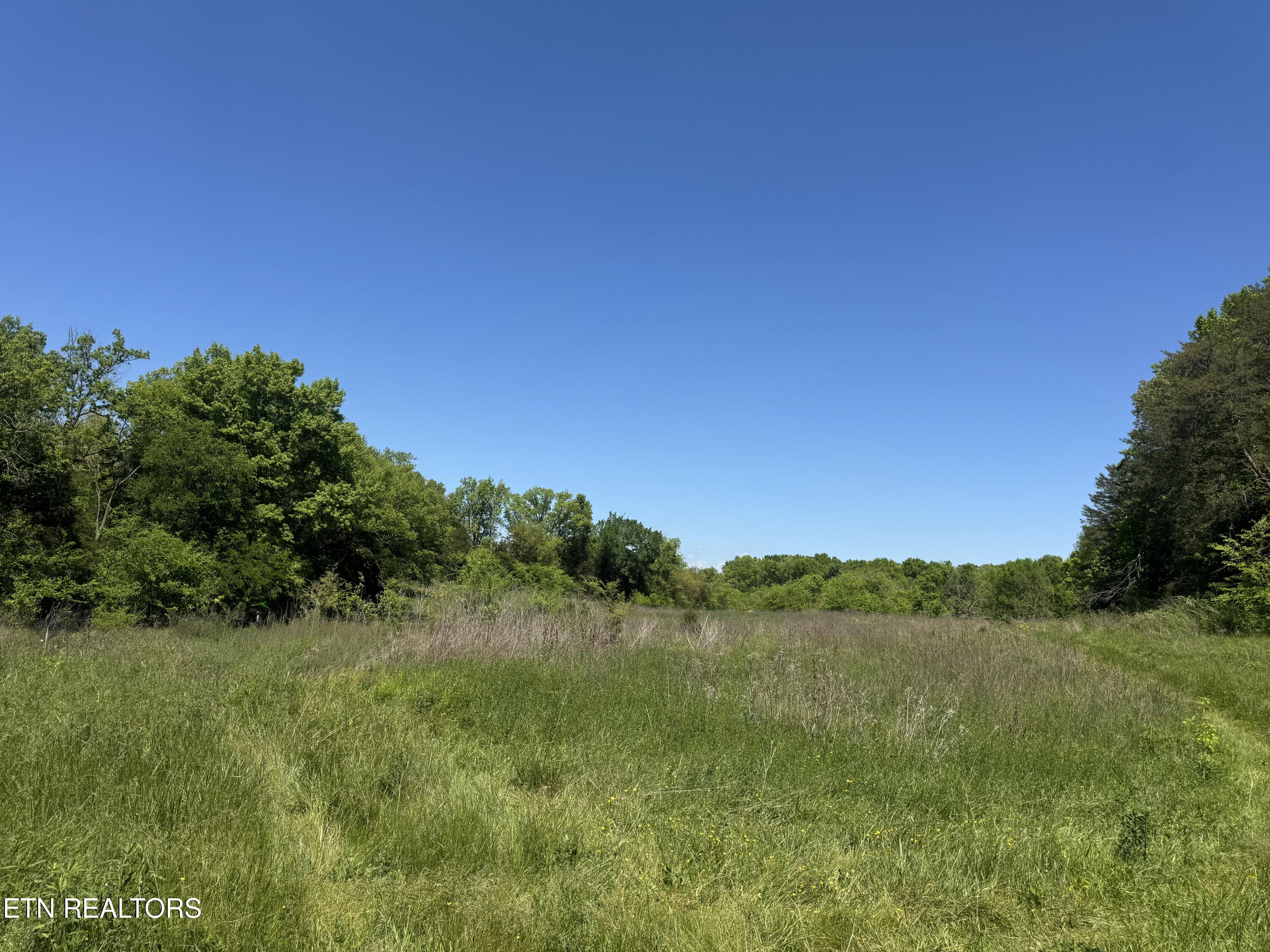 N Highway 340 Parrottsville TN 37843
