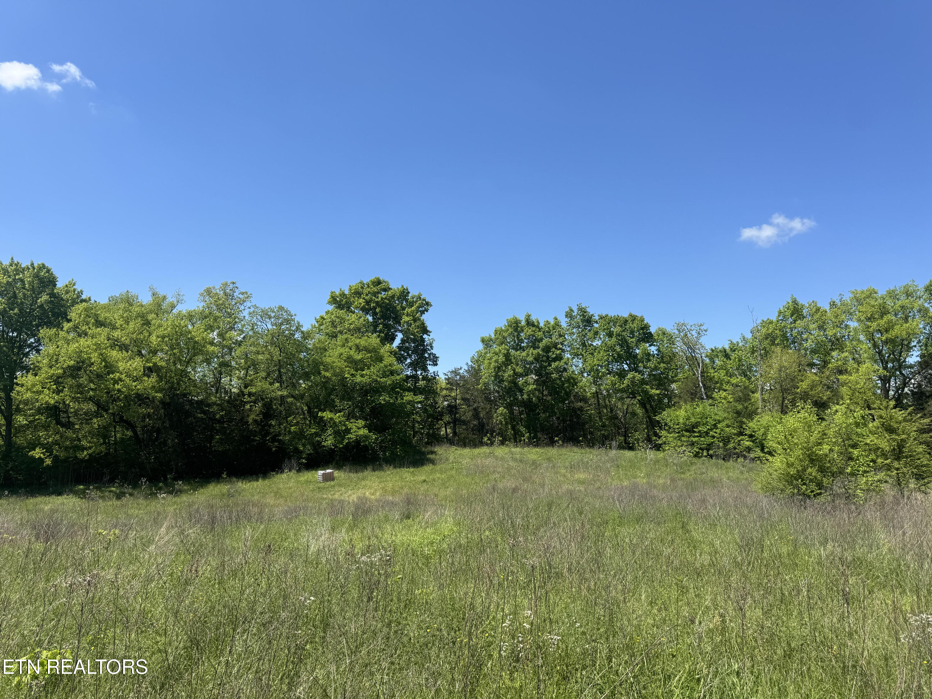 N Highway 340 Parrottsville TN 37843