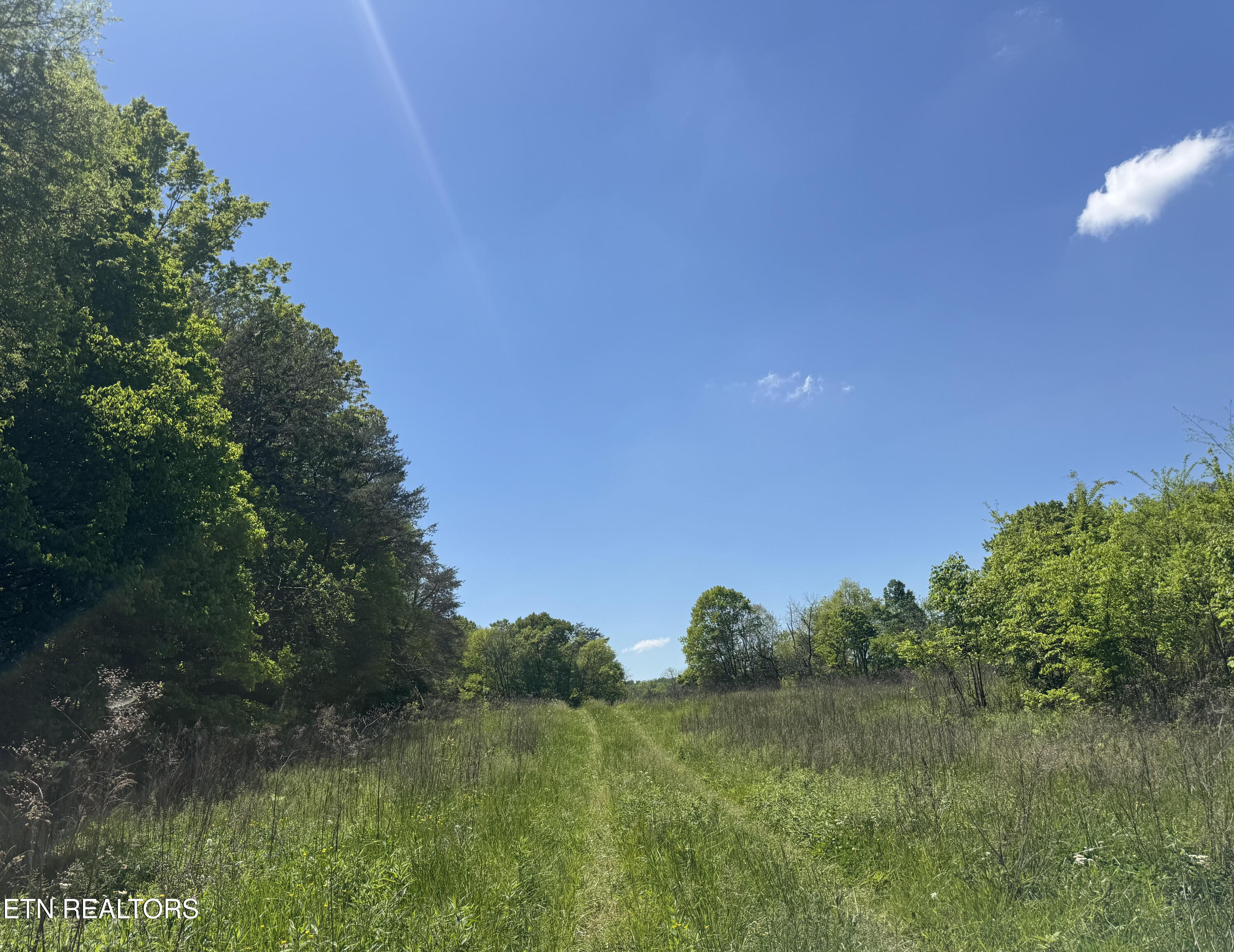 N Highway 340 Parrottsville TN 37843