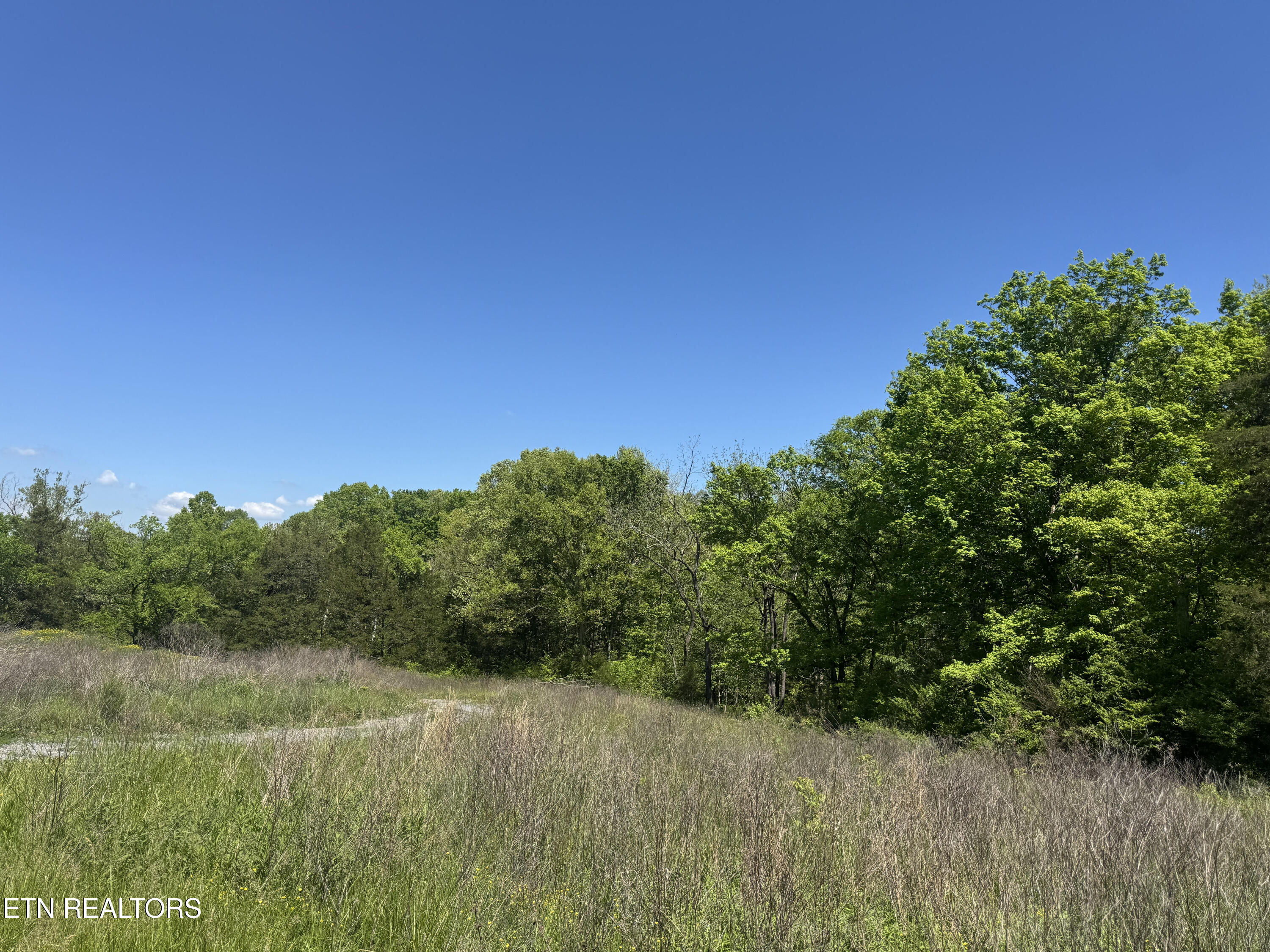 N Highway 340 Parrottsville TN 37843