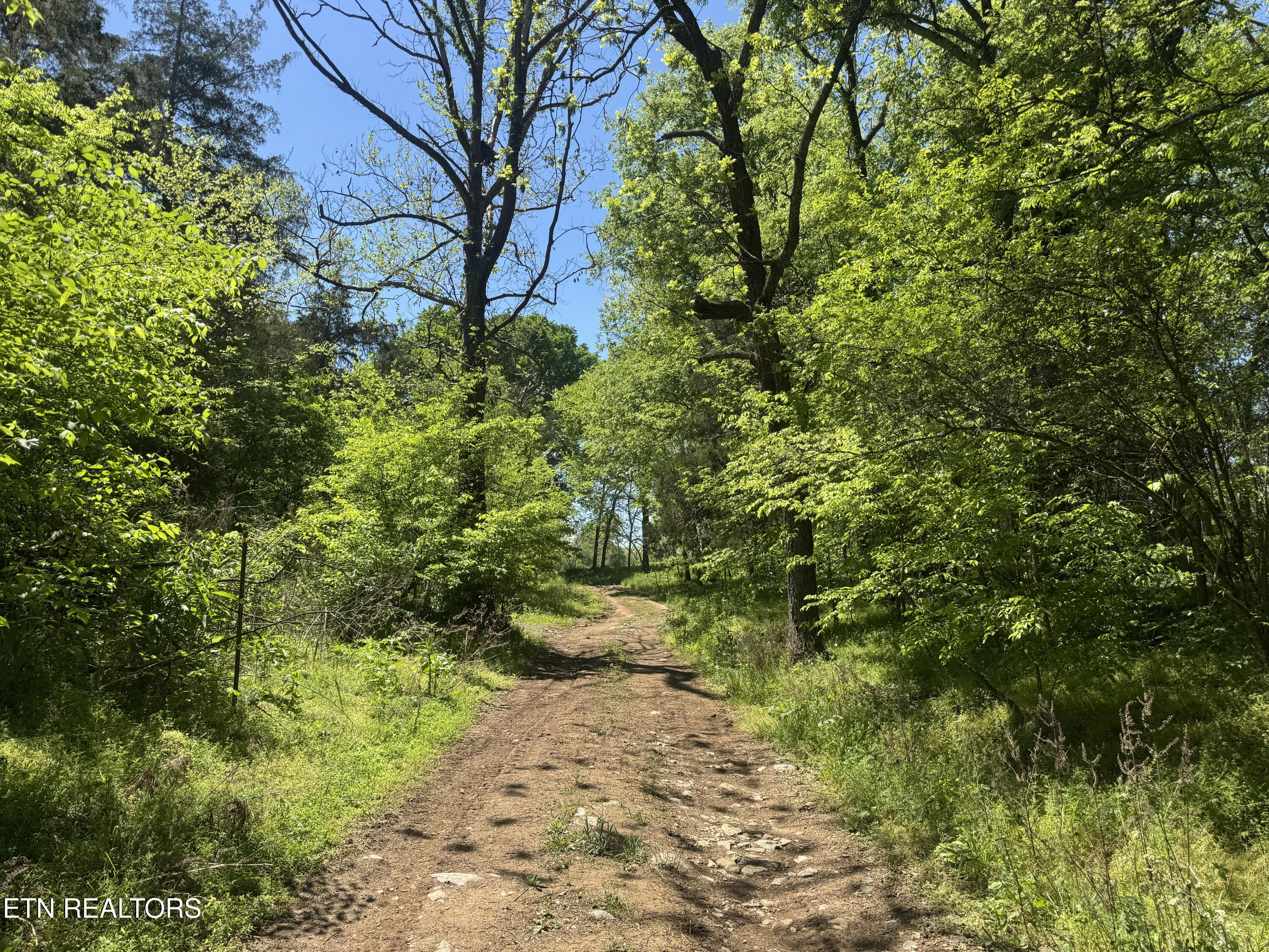 N Highway 340 Parrottsville TN 37843