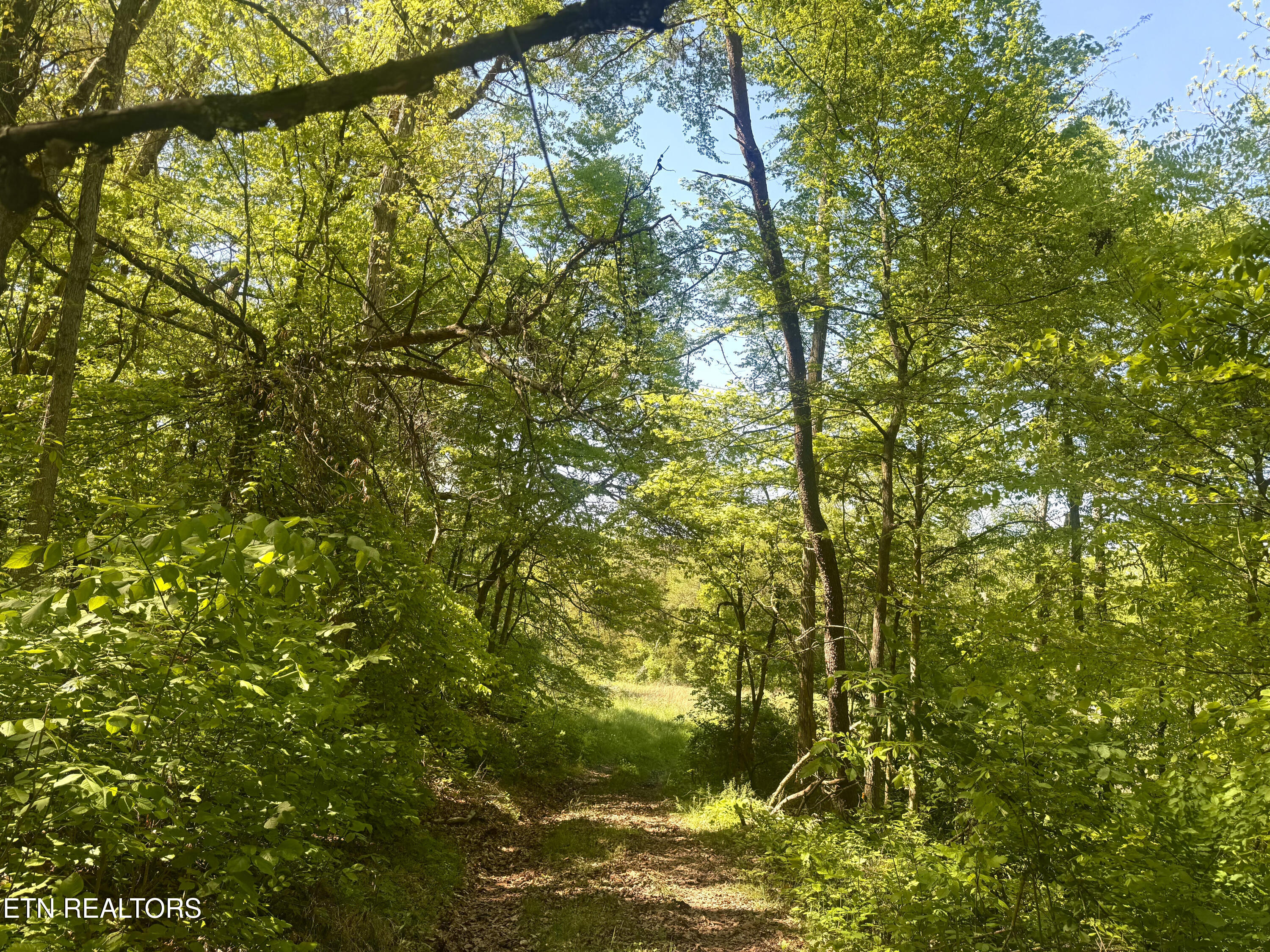 N Highway 340 Parrottsville TN 37843