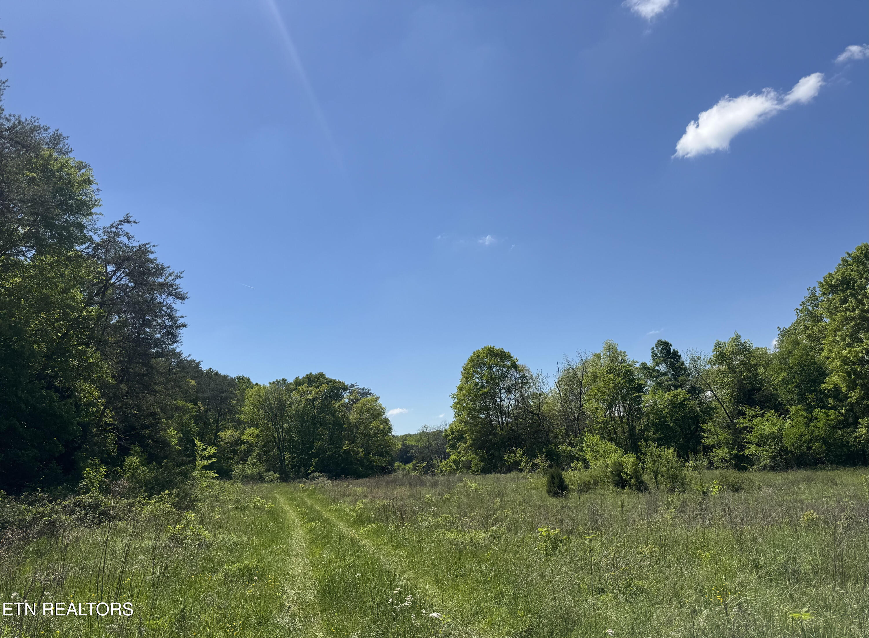 N Highway 340 Parrottsville TN 37843