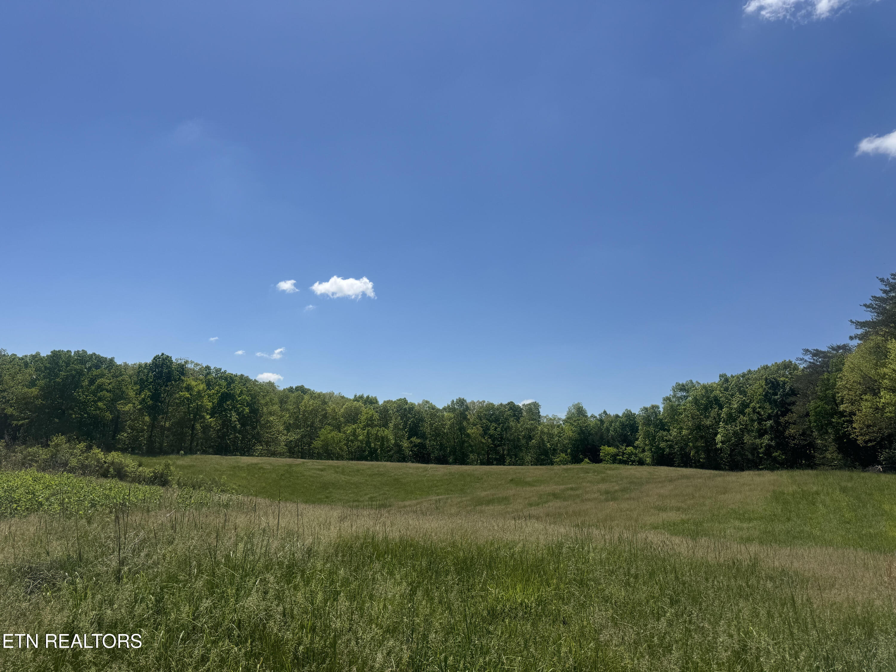 N Highway 340 Parrottsville TN 37843