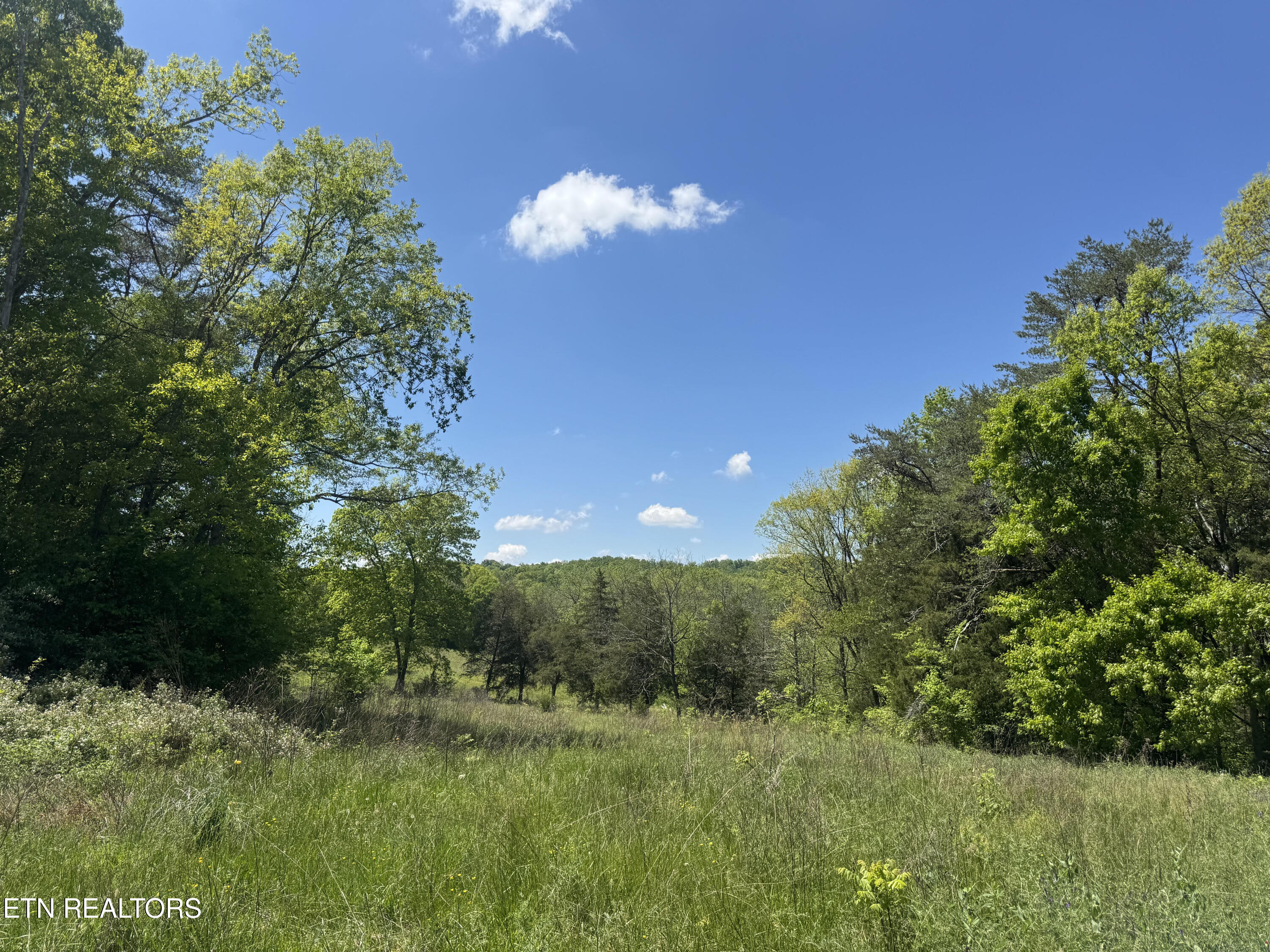 N Highway 340 Parrottsville TN 37843