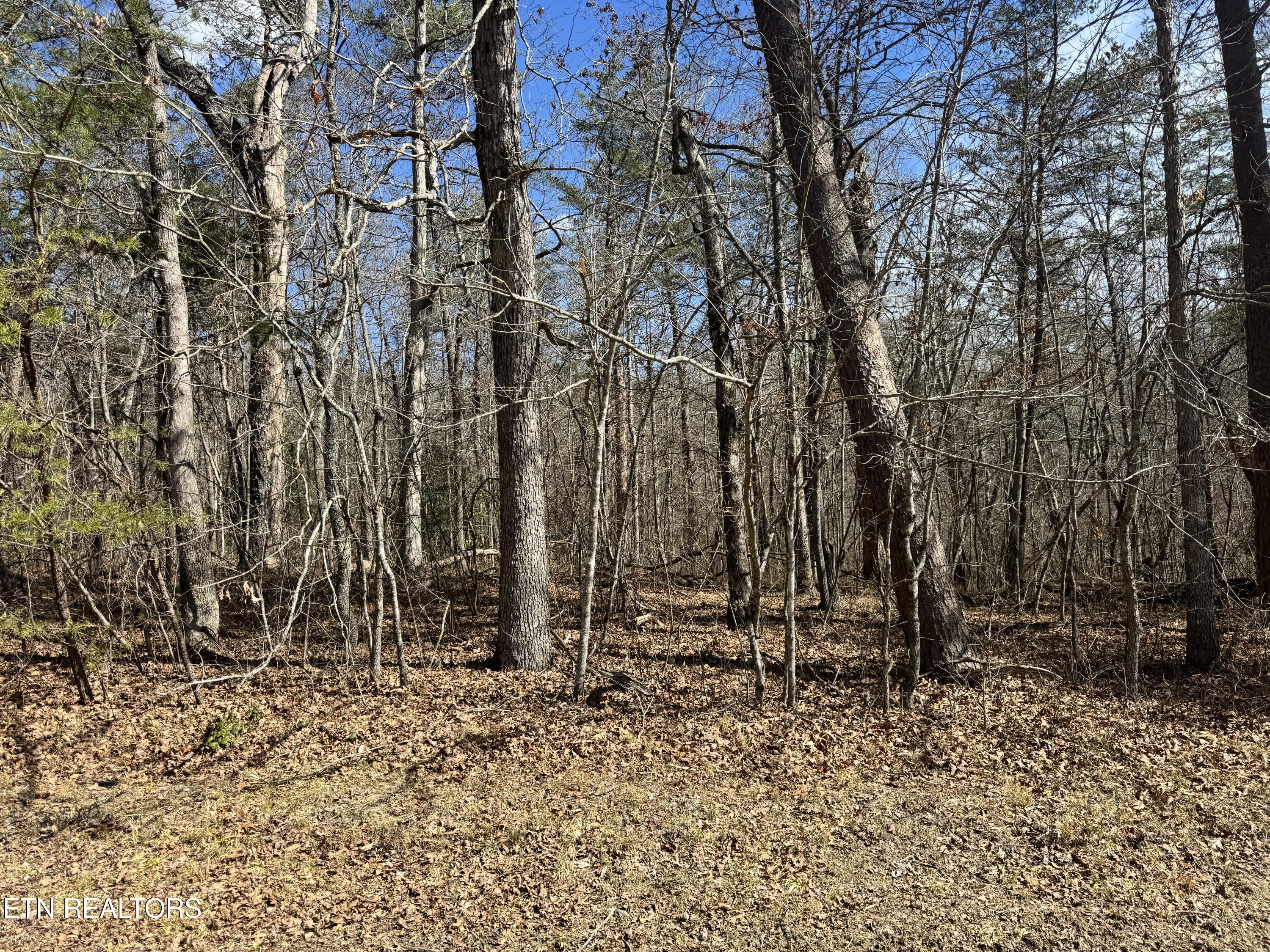 Cumberland Lakes Drive Monterey TN 38574