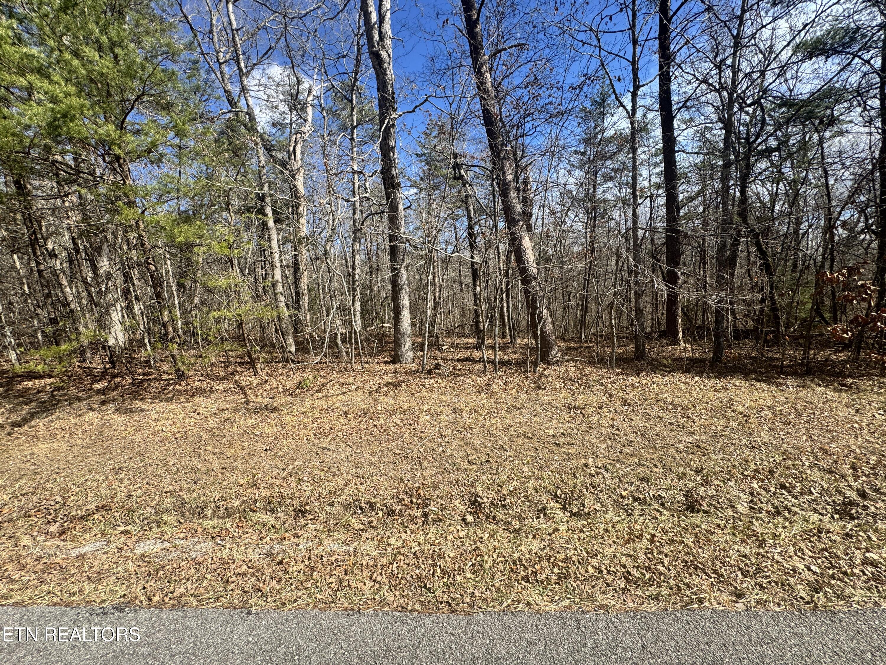 Cumberland Lakes Drive Monterey TN 38574