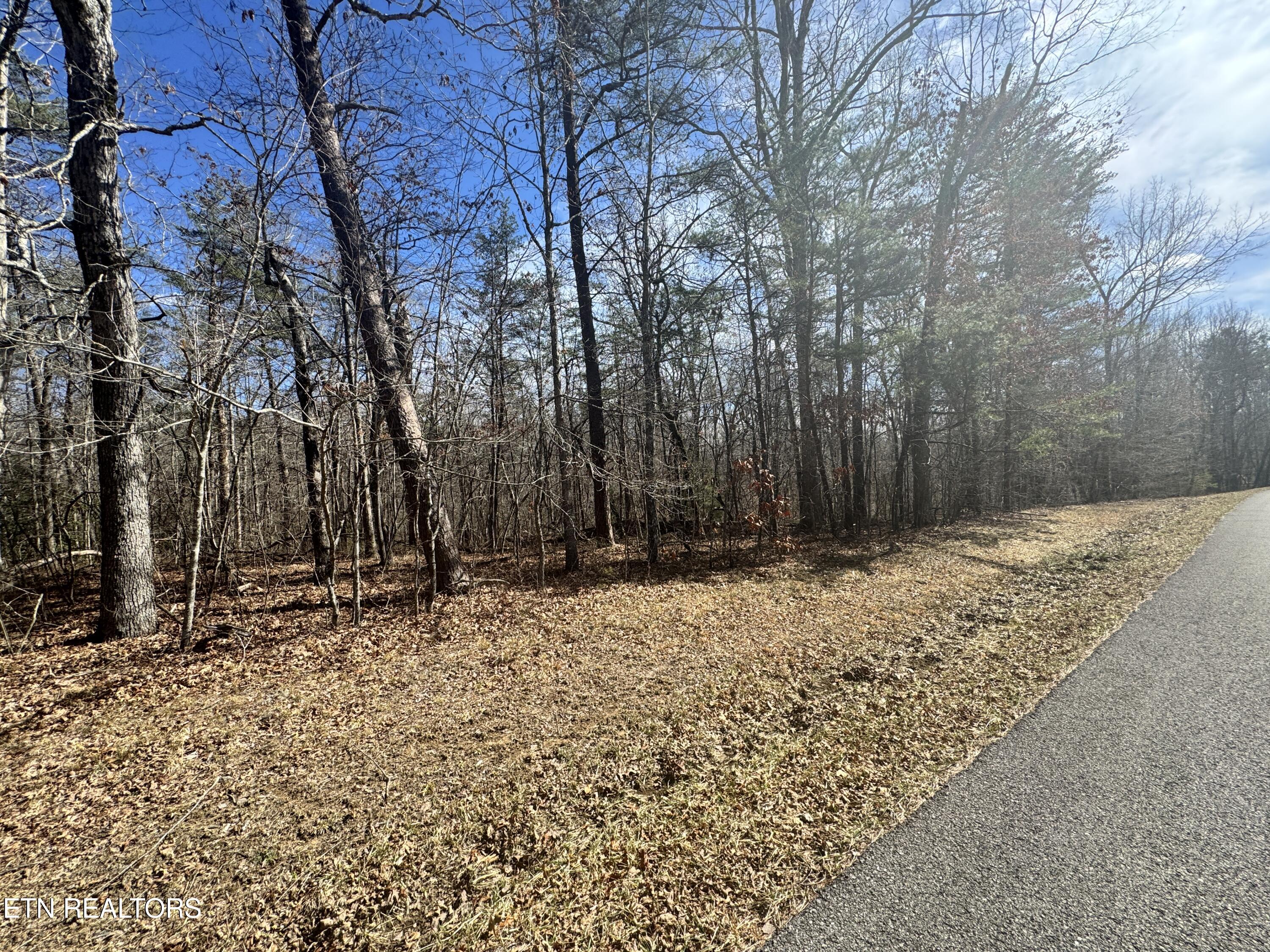 Cumberland Lakes Drive Monterey TN 38574