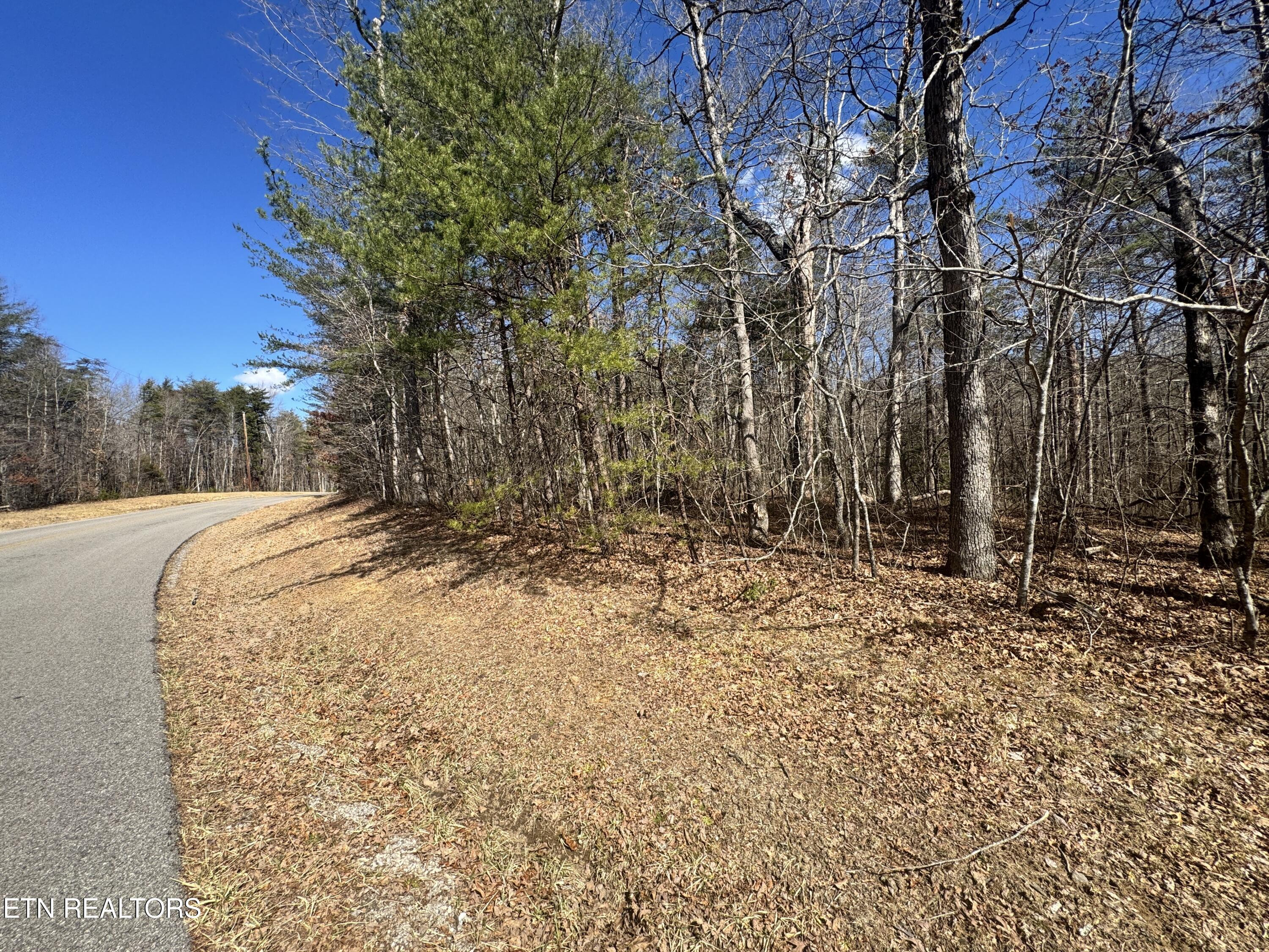 Cumberland Lakes Drive Monterey TN 38574
