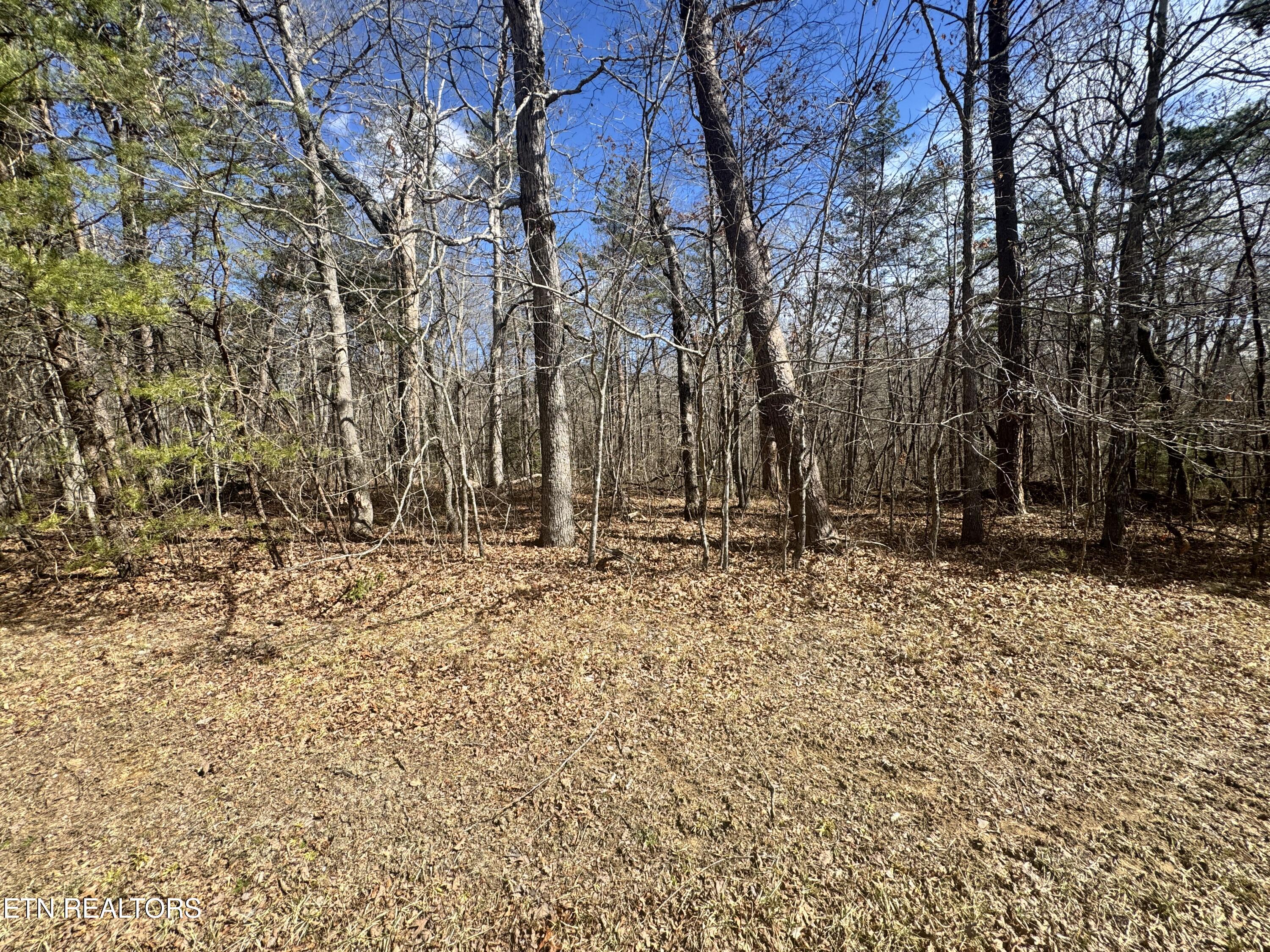 Cumberland Lakes Drive Monterey TN 38574