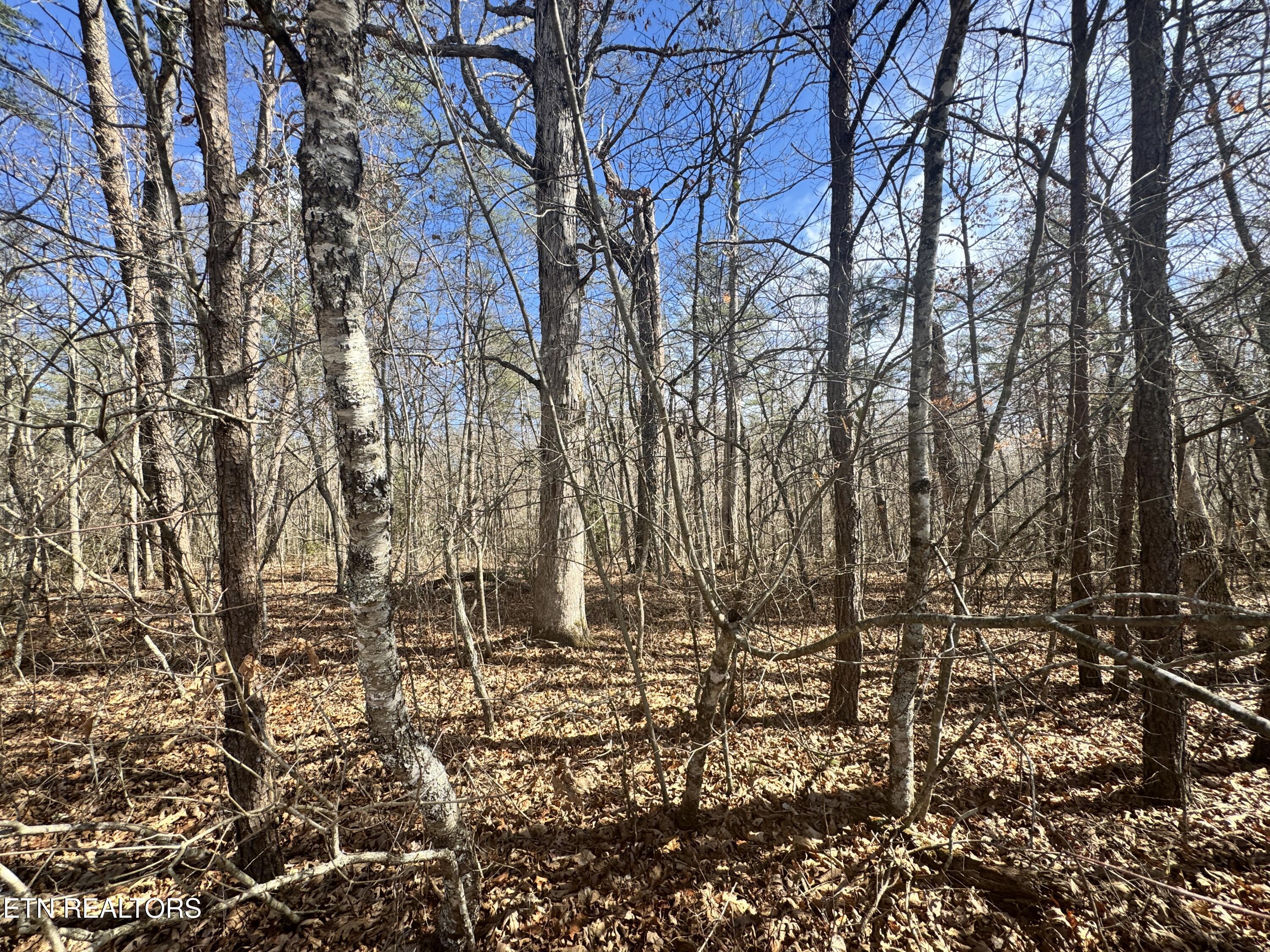Cumberland Lakes Drive Monterey TN 38574