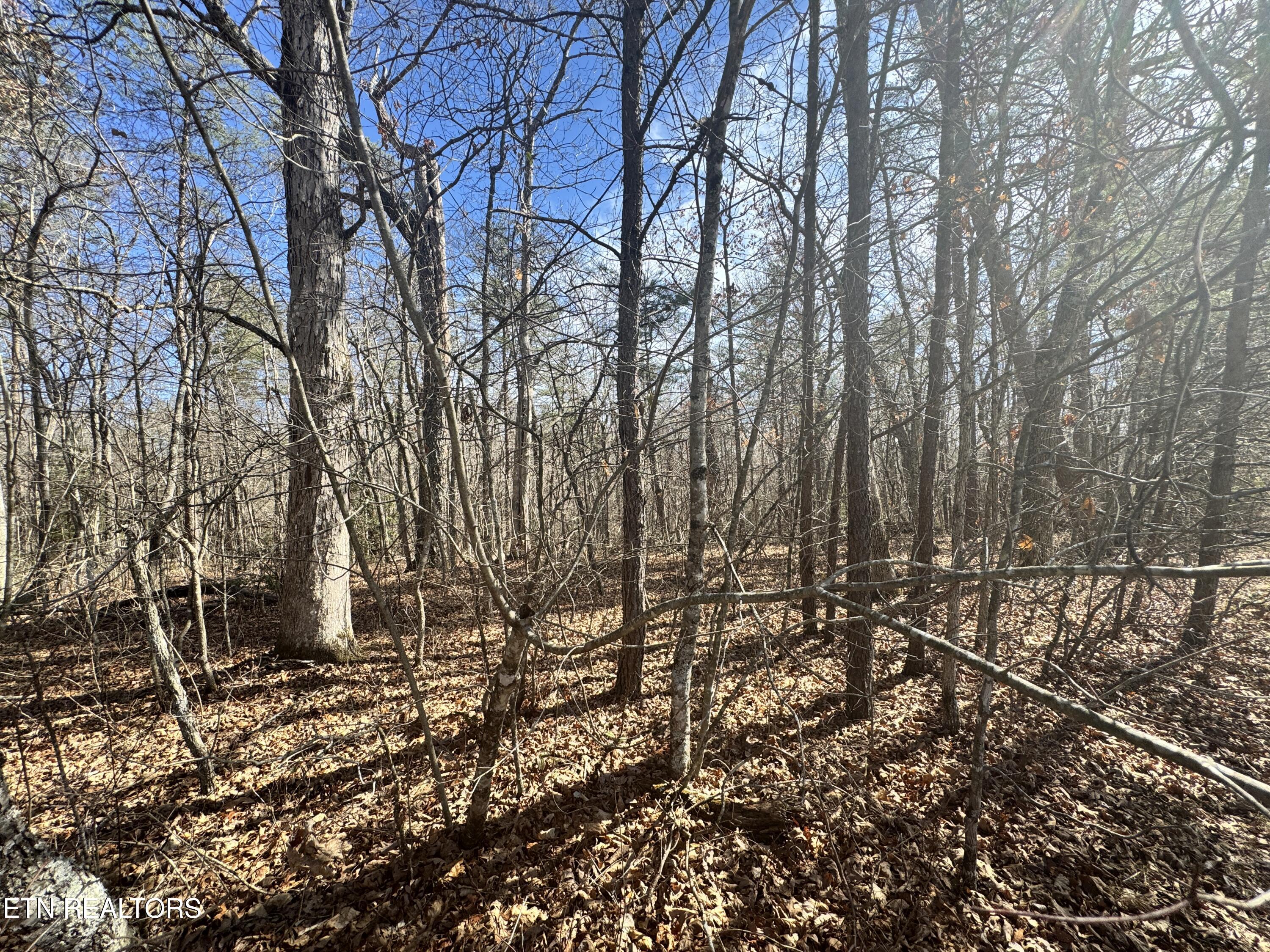 Cumberland Lakes Drive Monterey TN 38574