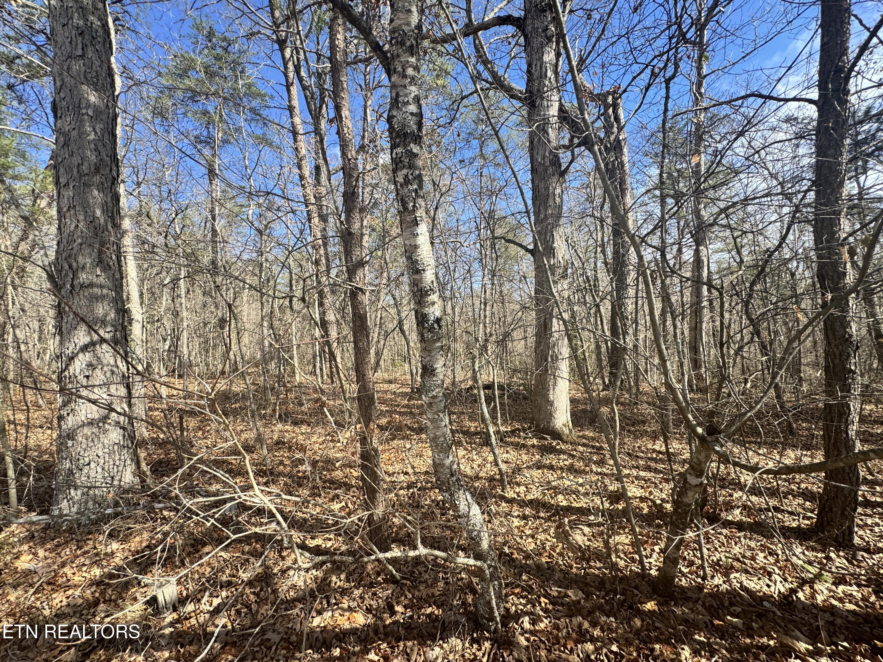 Cumberland Lakes Drive Monterey TN 38574