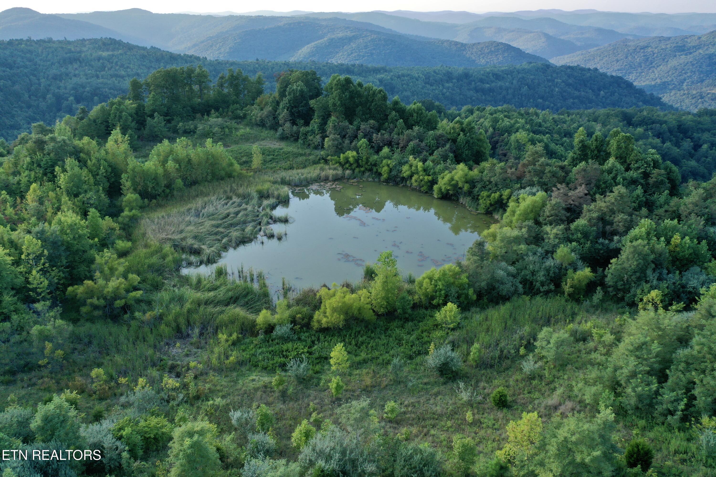 207 Lick Fork Lane Pioneer TN 37847