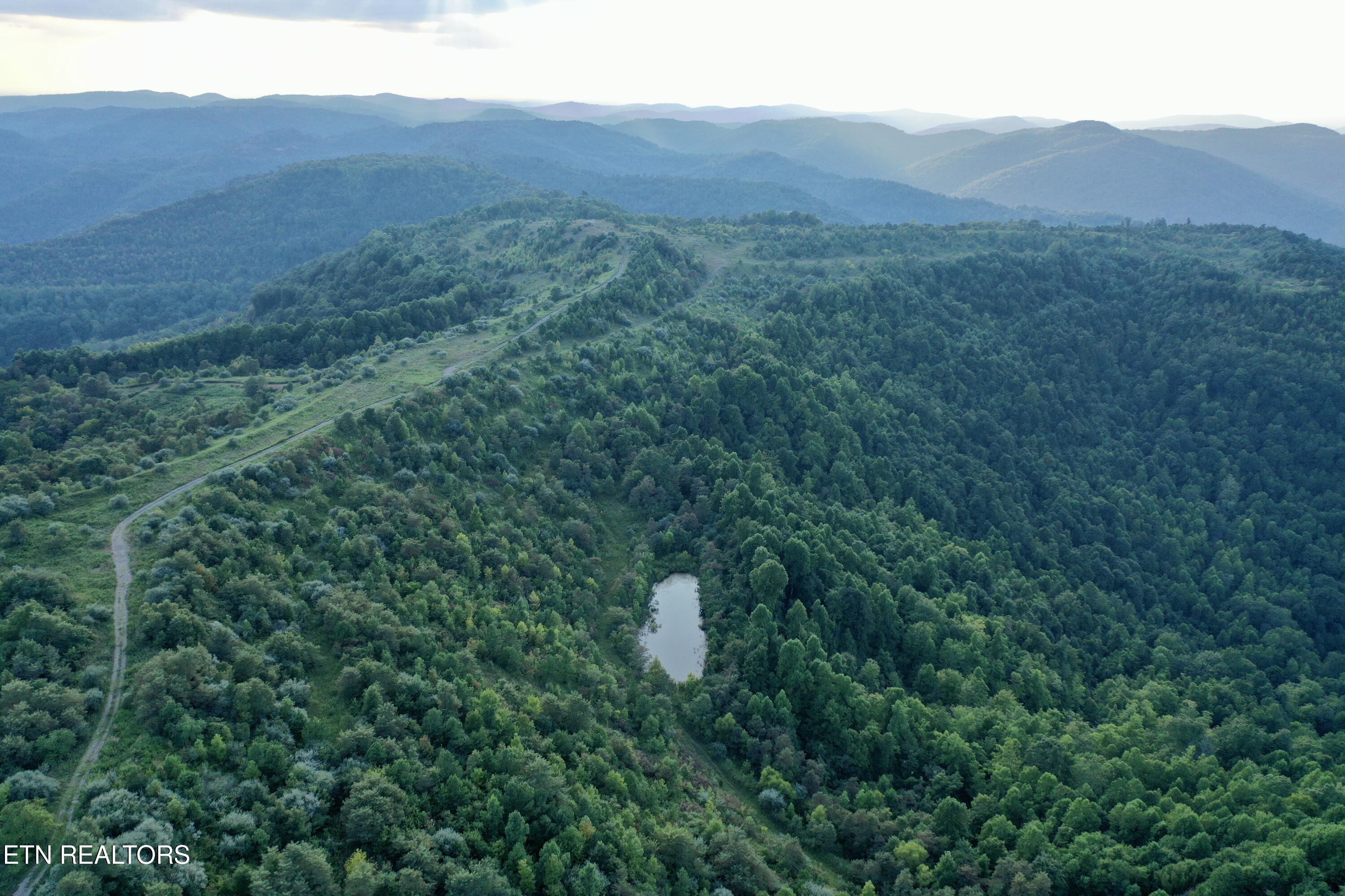 207 Lick Fork Lane Pioneer TN 37847